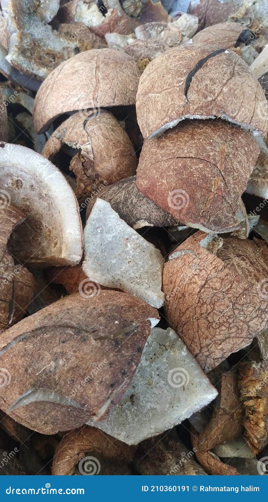 Dried coconut flesh stock image. Image of boulder, bedrock 210360191