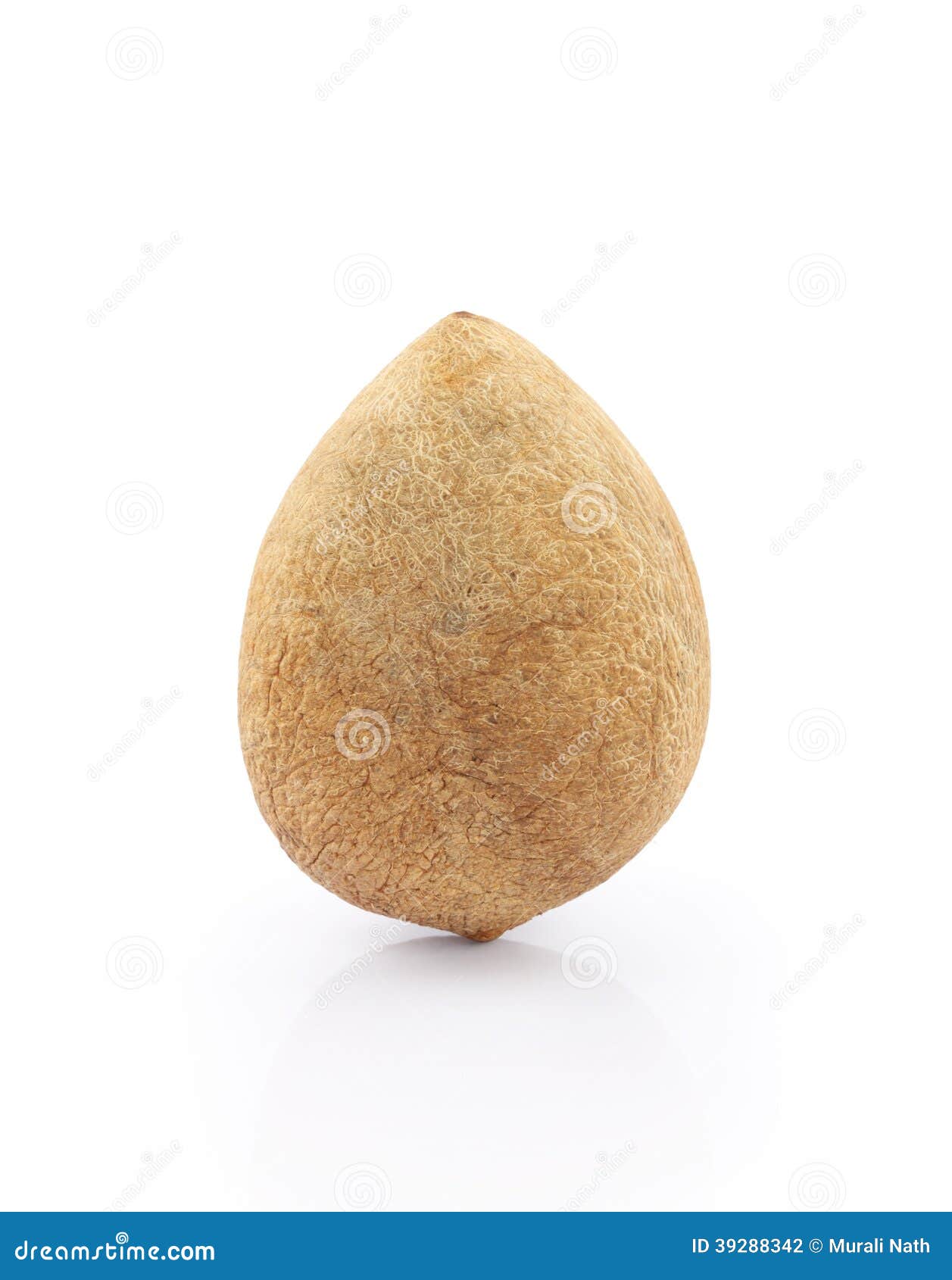 Dried Coconut stock photo. Image of shell, coco, slice - 39288342