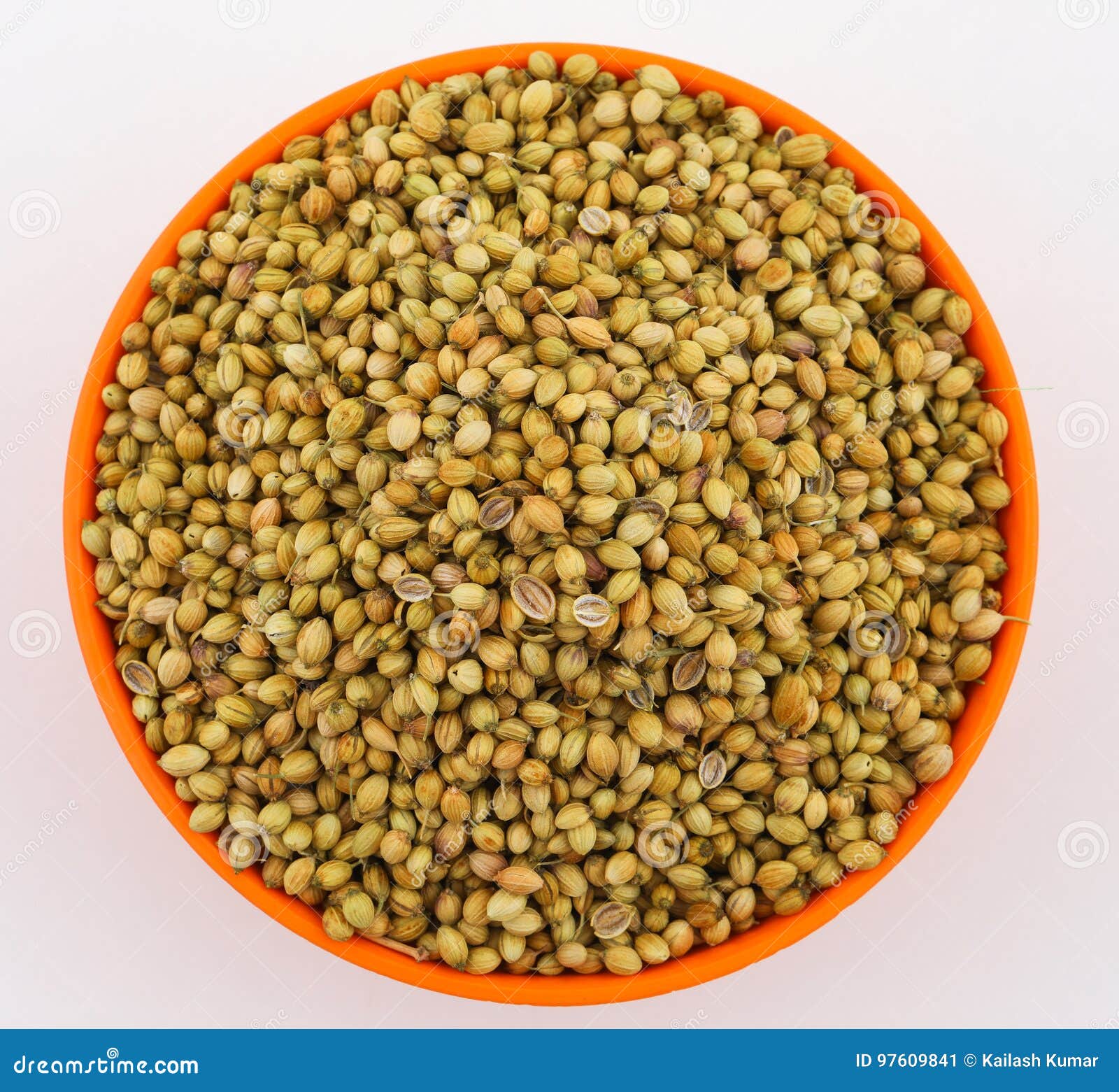 Dried coriander seeds stock image. Image of macro, natural 97609841
