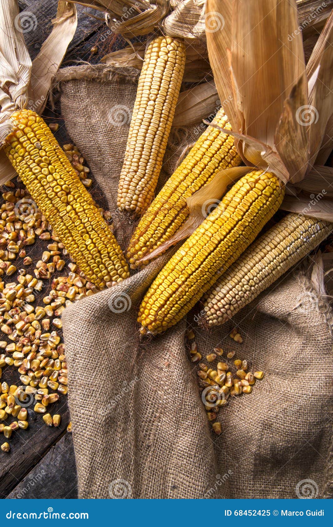 Dried corn cob stock image. Image of organic, ripe, peel 68452425