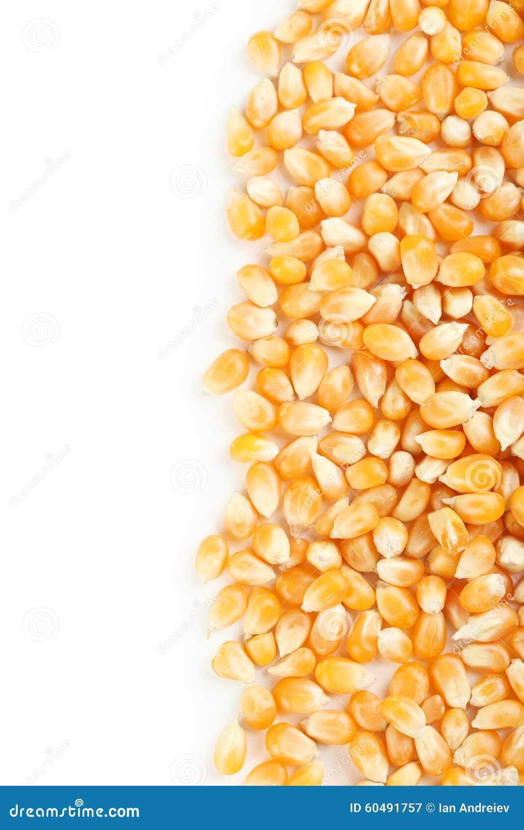 Dried corn grains stock image. Image of heap, granule 60491757