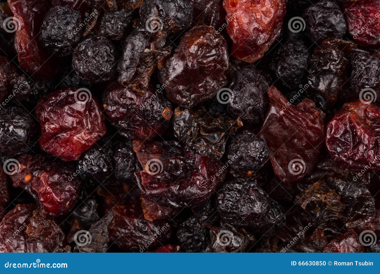 Dried Cranberries, Cherries and Blueberries Stock Photo Image of
