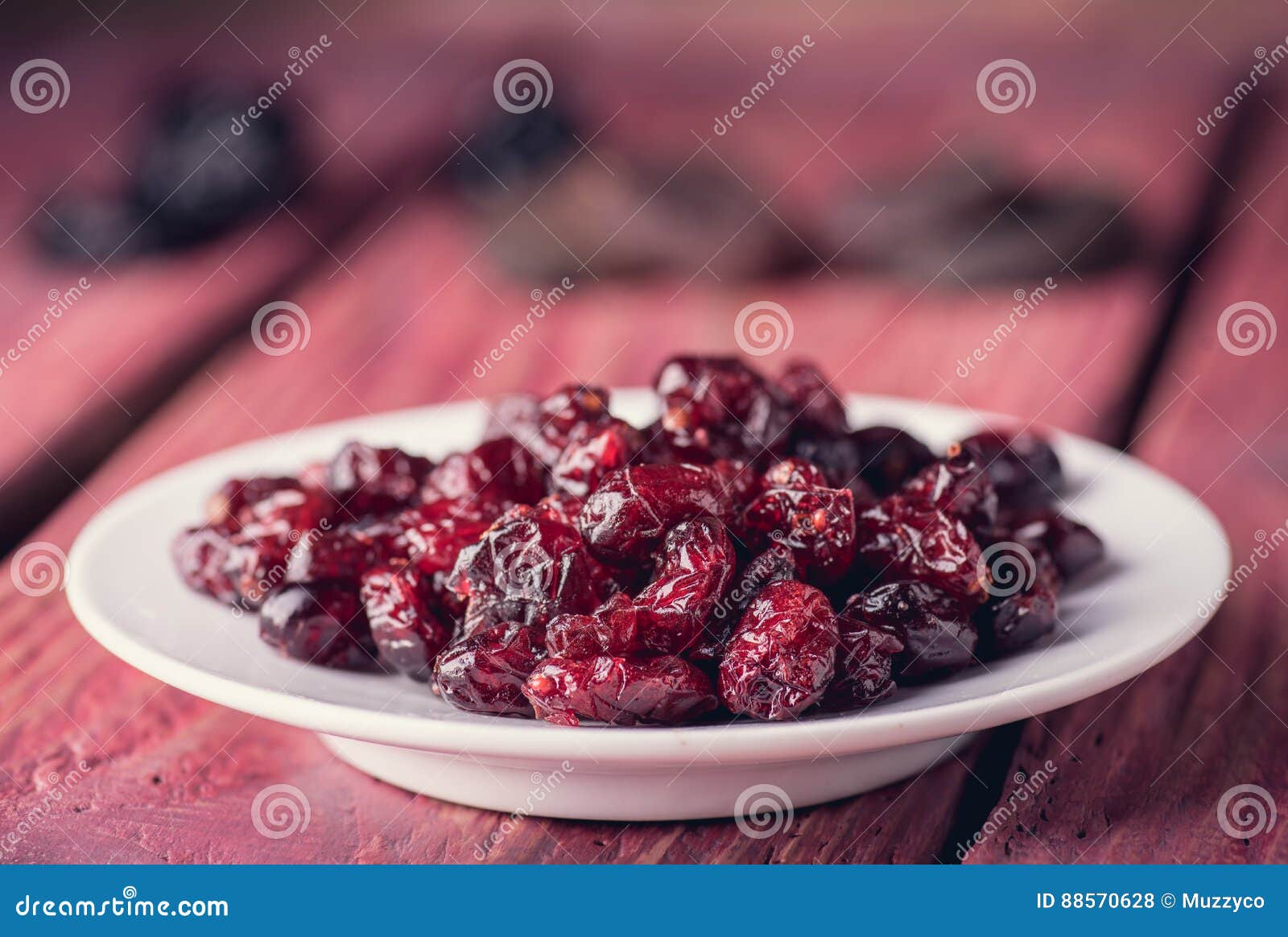 Dried Cranberries on the Plate Stock Photo Image of close, macro