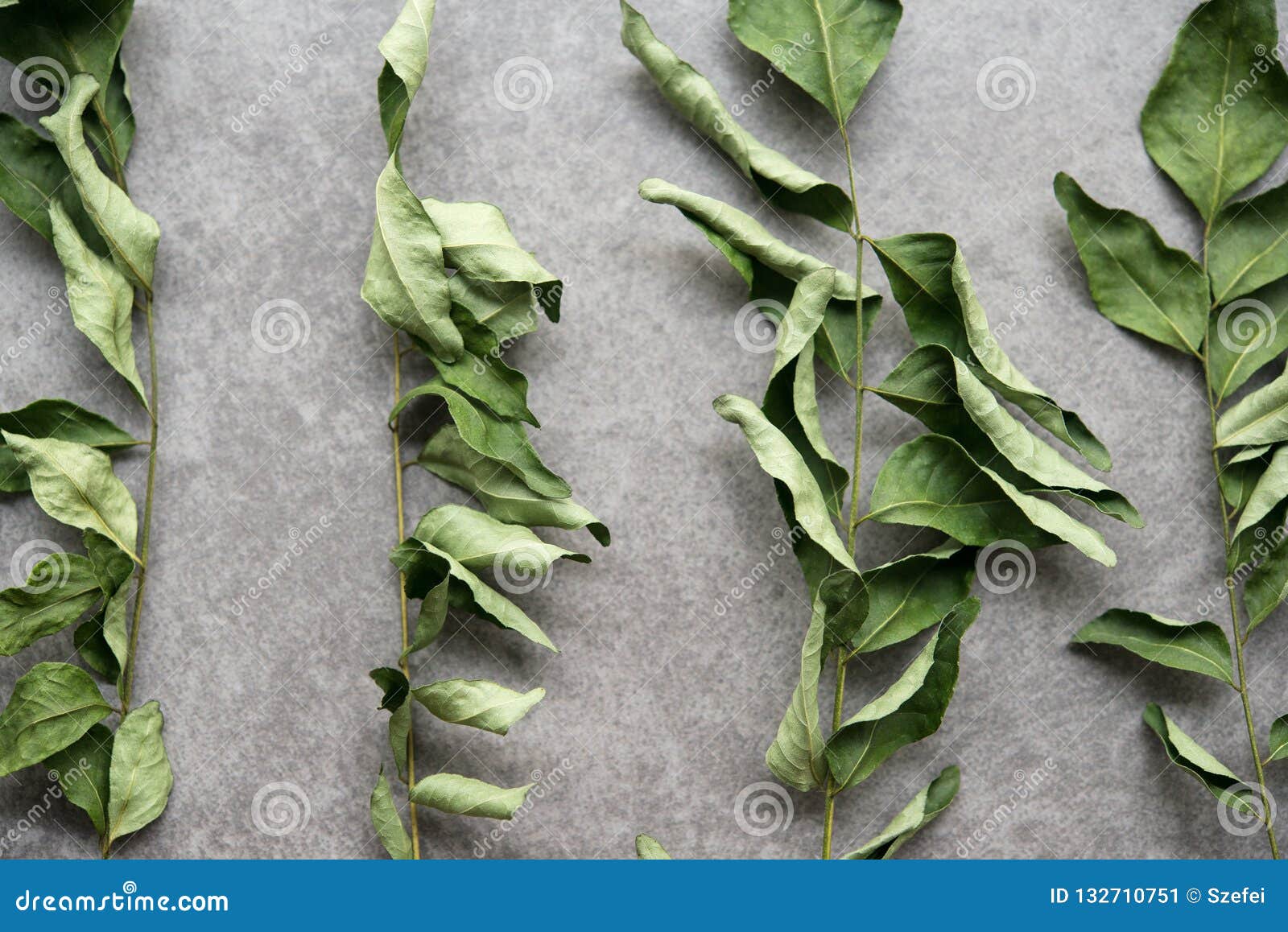 Dried curry leaves stock image. Image of green, ingredient 132710751