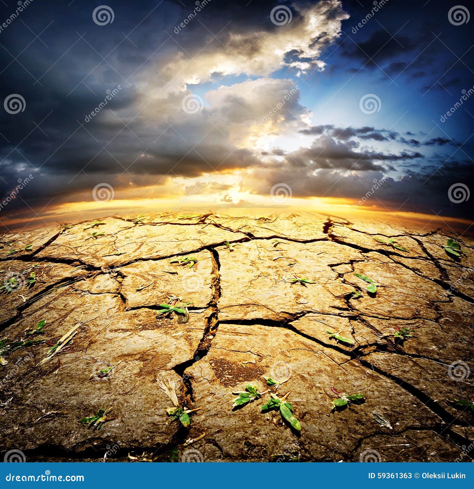 My Image 15