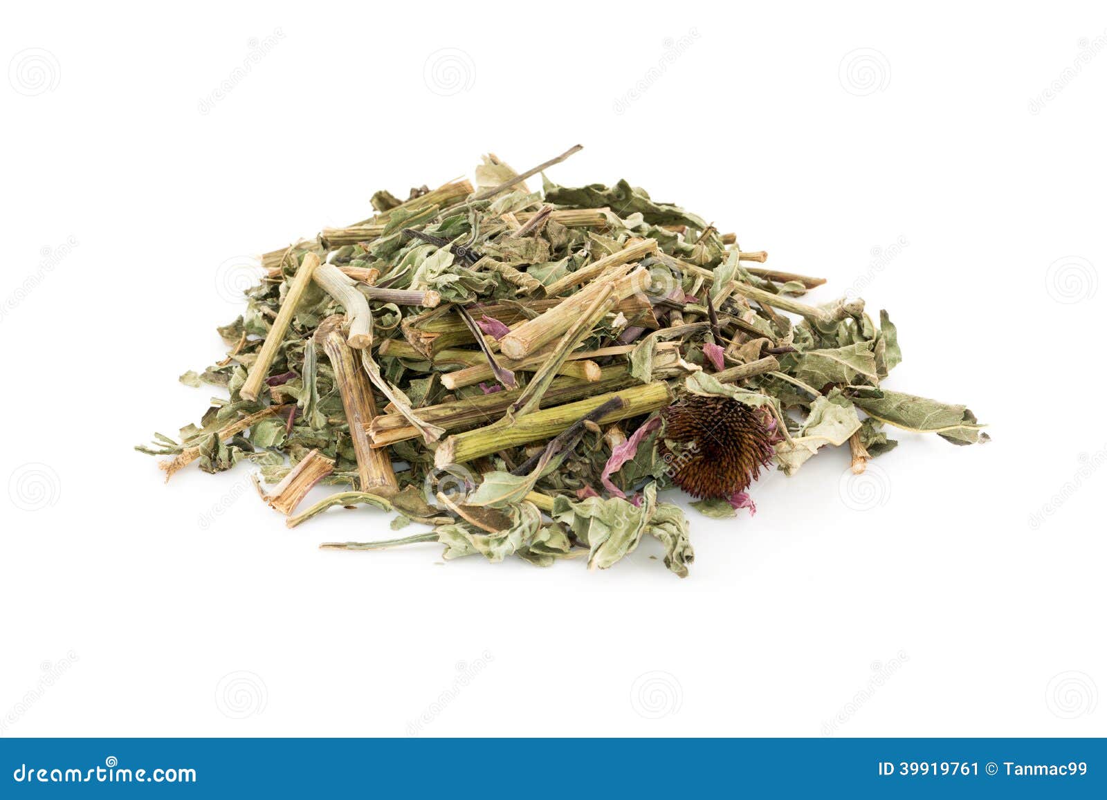 Dried Echinacea purpurea stock image. Image of macro 39919761