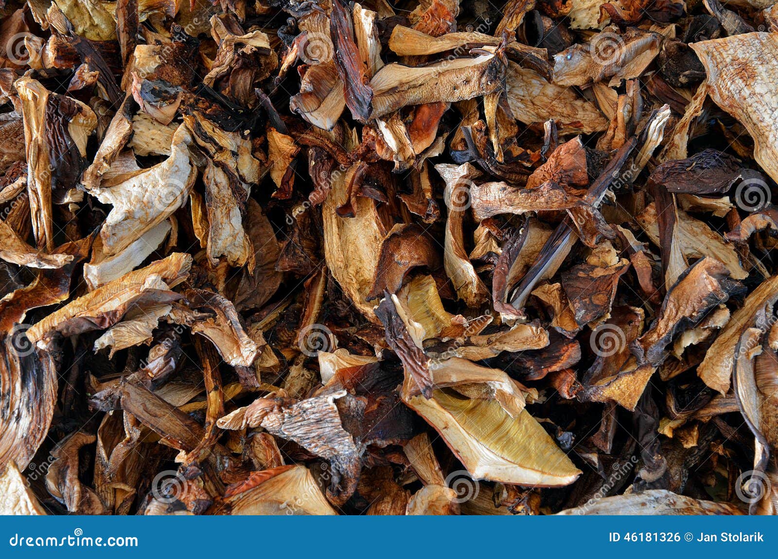 Dried edible mushrooms stock photo. Image of heap, gourmet 46181326