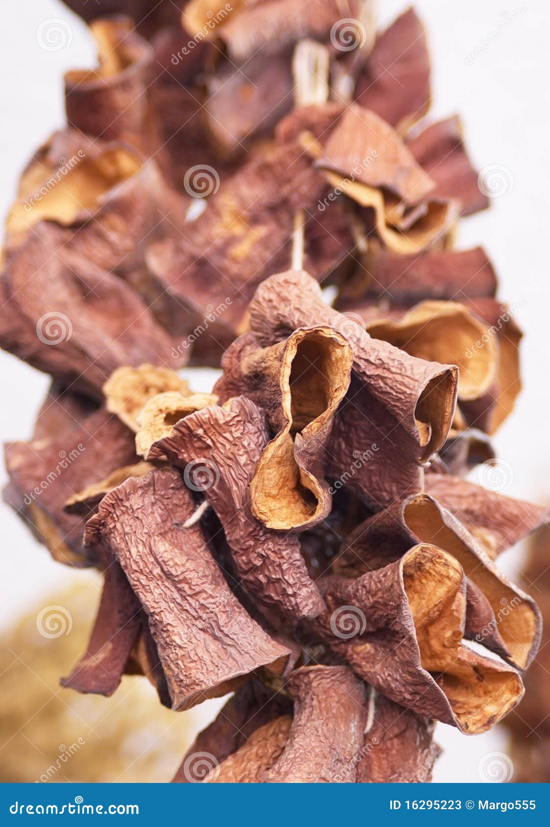 Dried eggplant stock image. Image of large, dried, organic 16295223