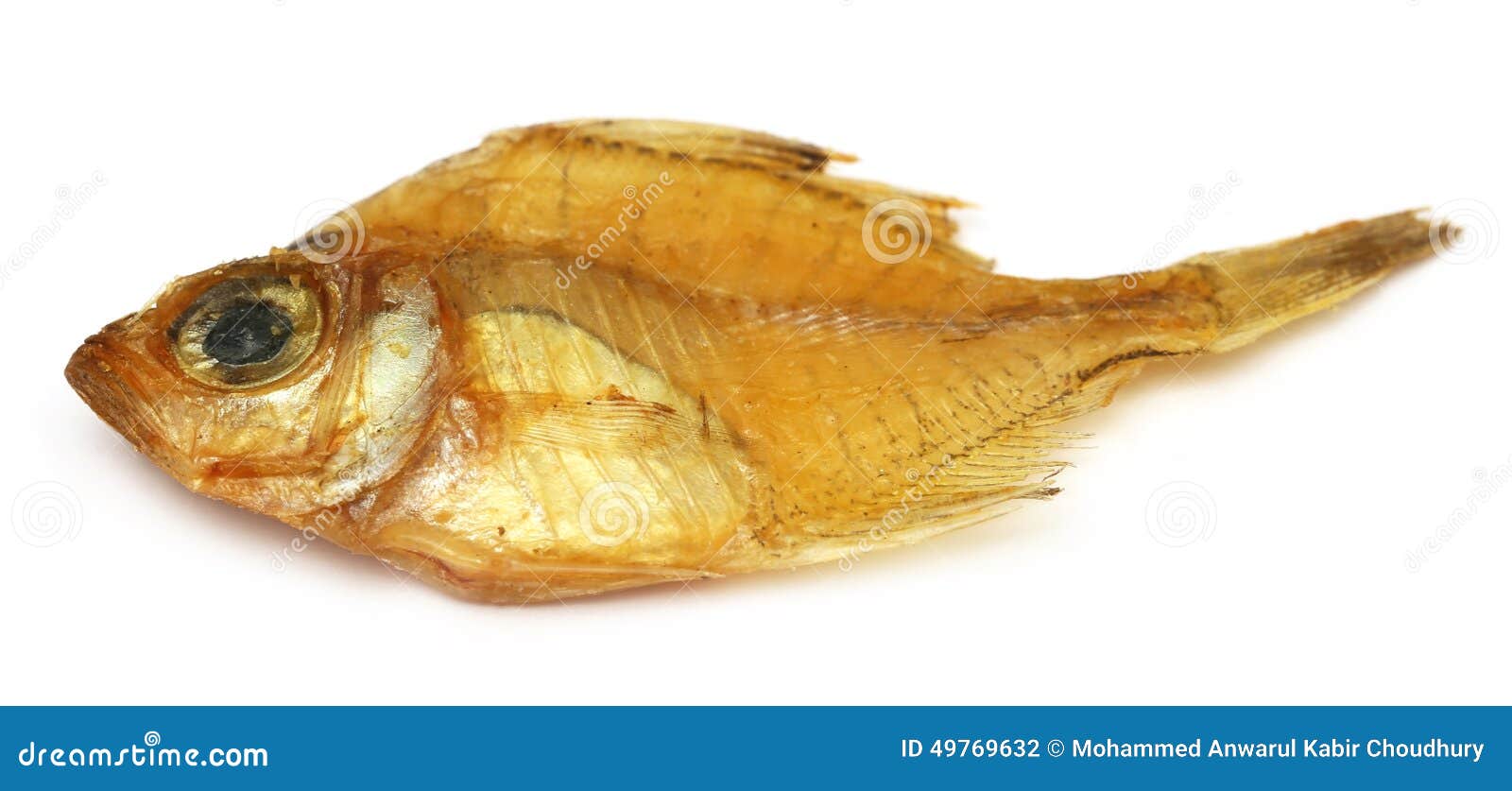 dried elongate glassy perchlet