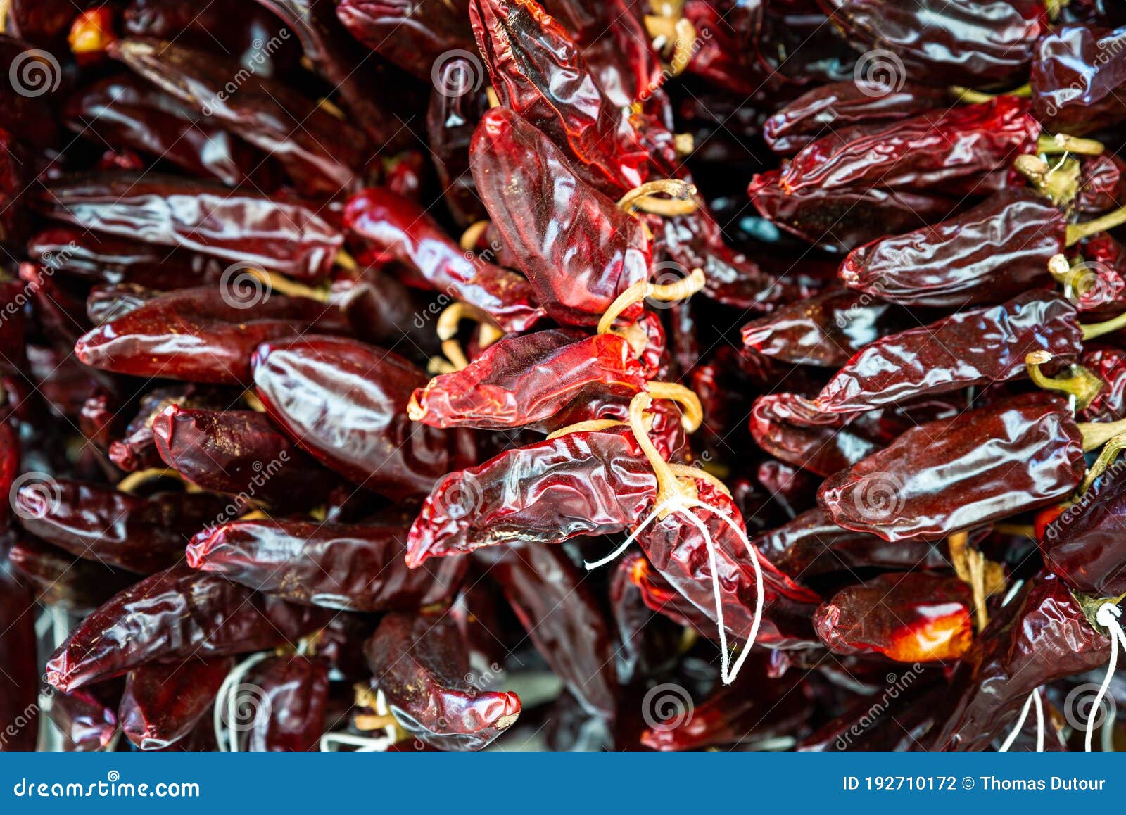 Dried Espelette peppers stock photo. Image of drying 192710172
