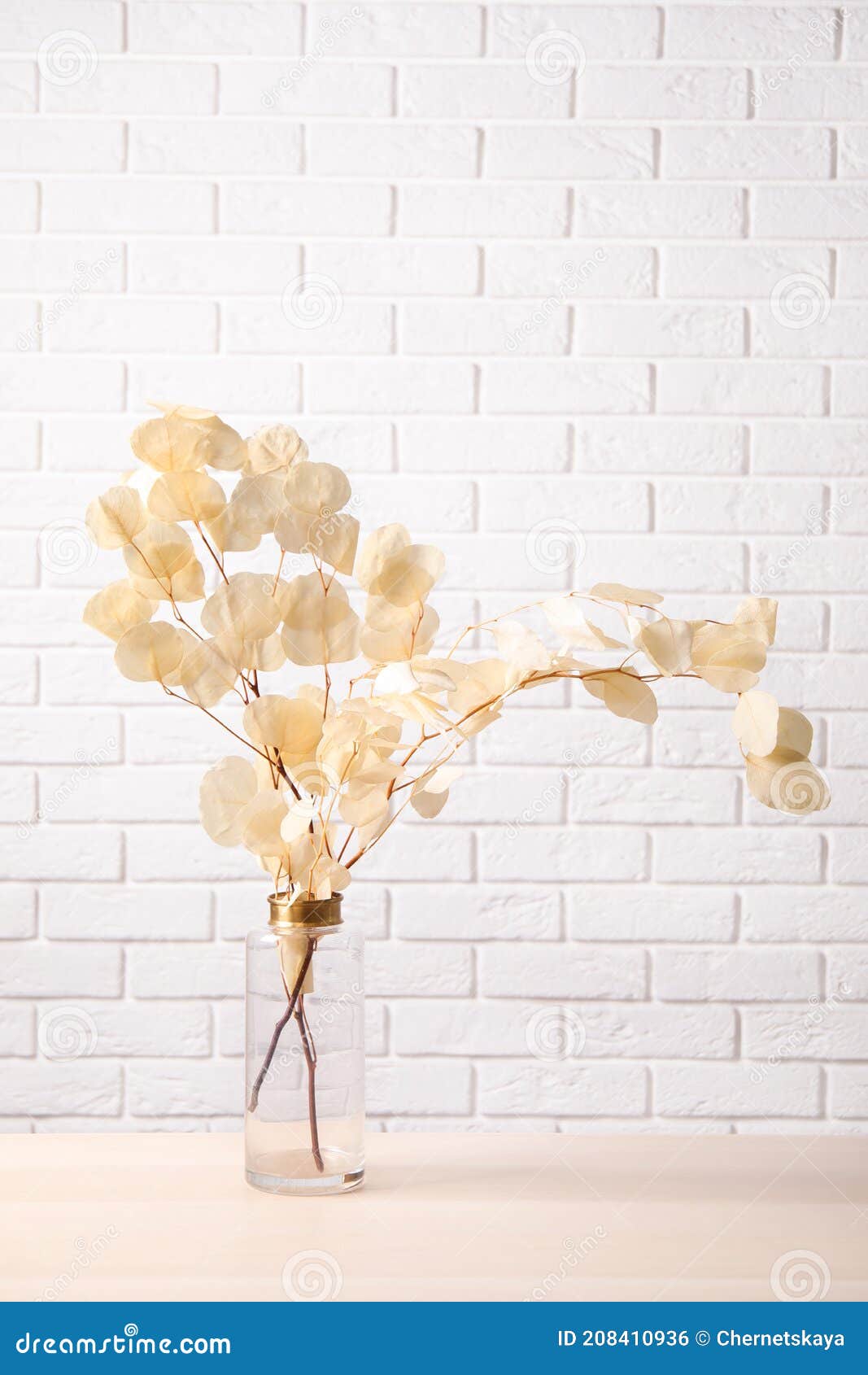 Dried Eucalyptus Branches in Vase on Table Against White Brick Wall