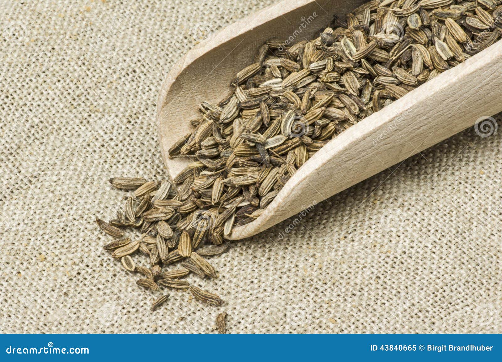 Dried fennel stock image. Image of seed, aroma, wooden 43840665