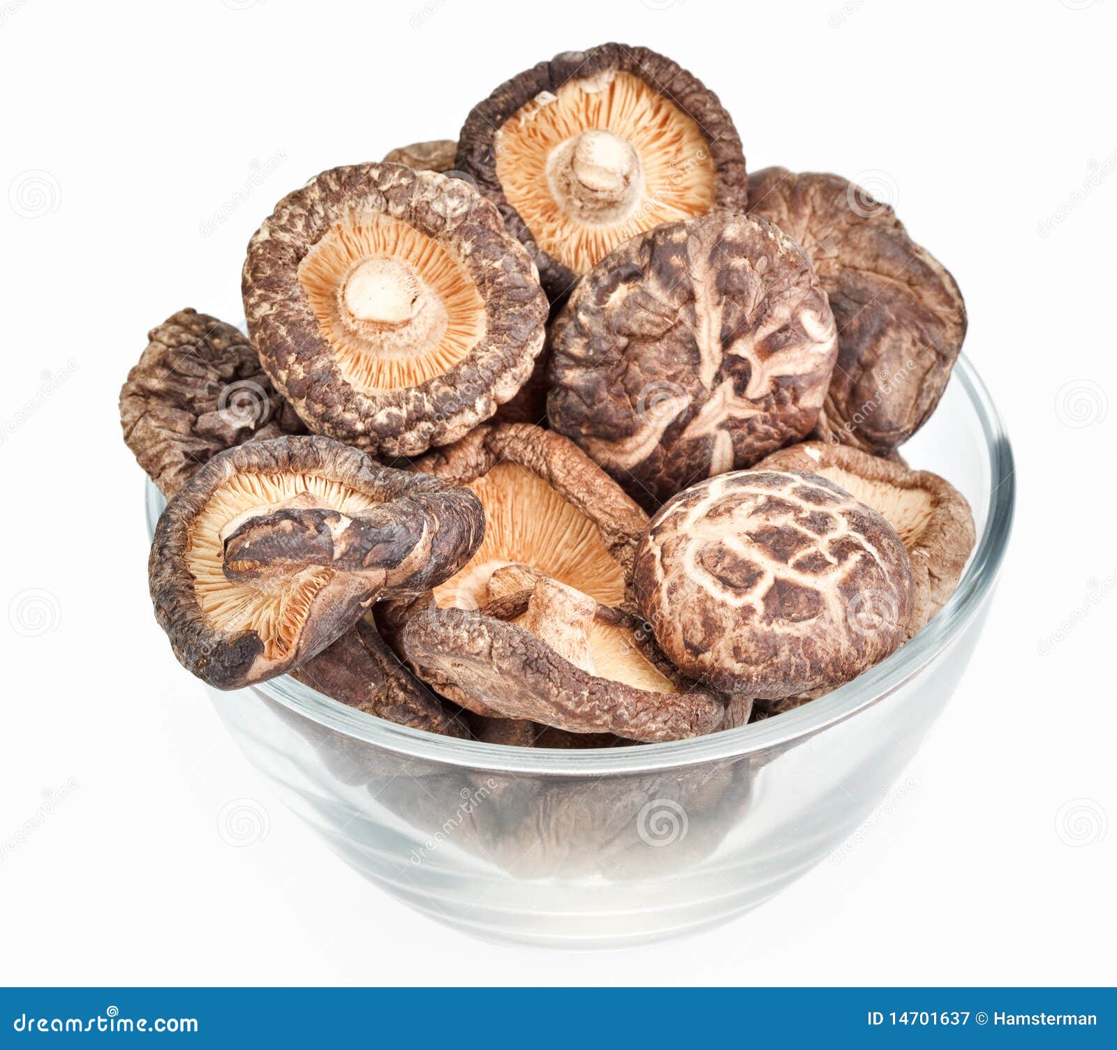 Dried Field Mushrooms in a Glass Bowl Stock Image Image of macro