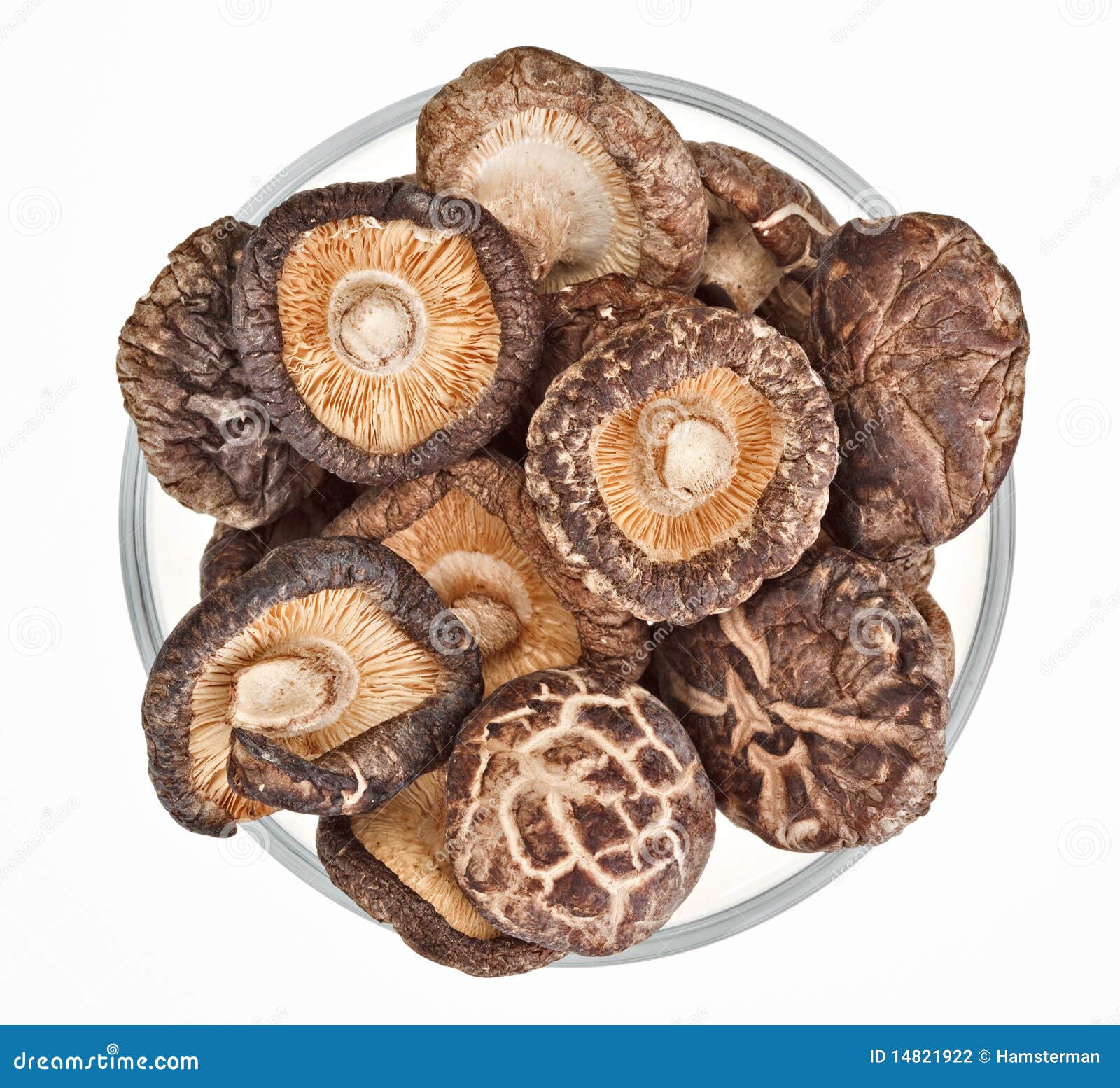 Dried Field Mushrooms in a Glass Bowl Stock Photo Image of field
