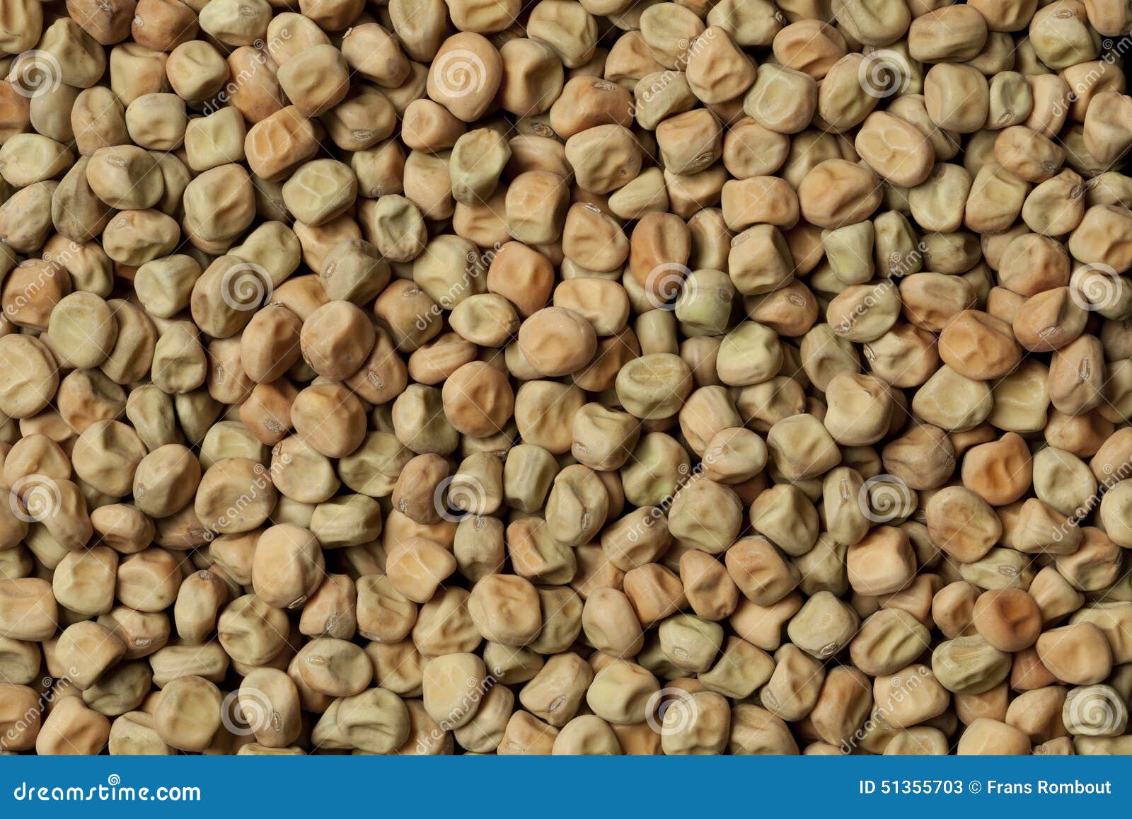Field Peas Snapped Green Beans Up Close RoyaltyFree Stock Image