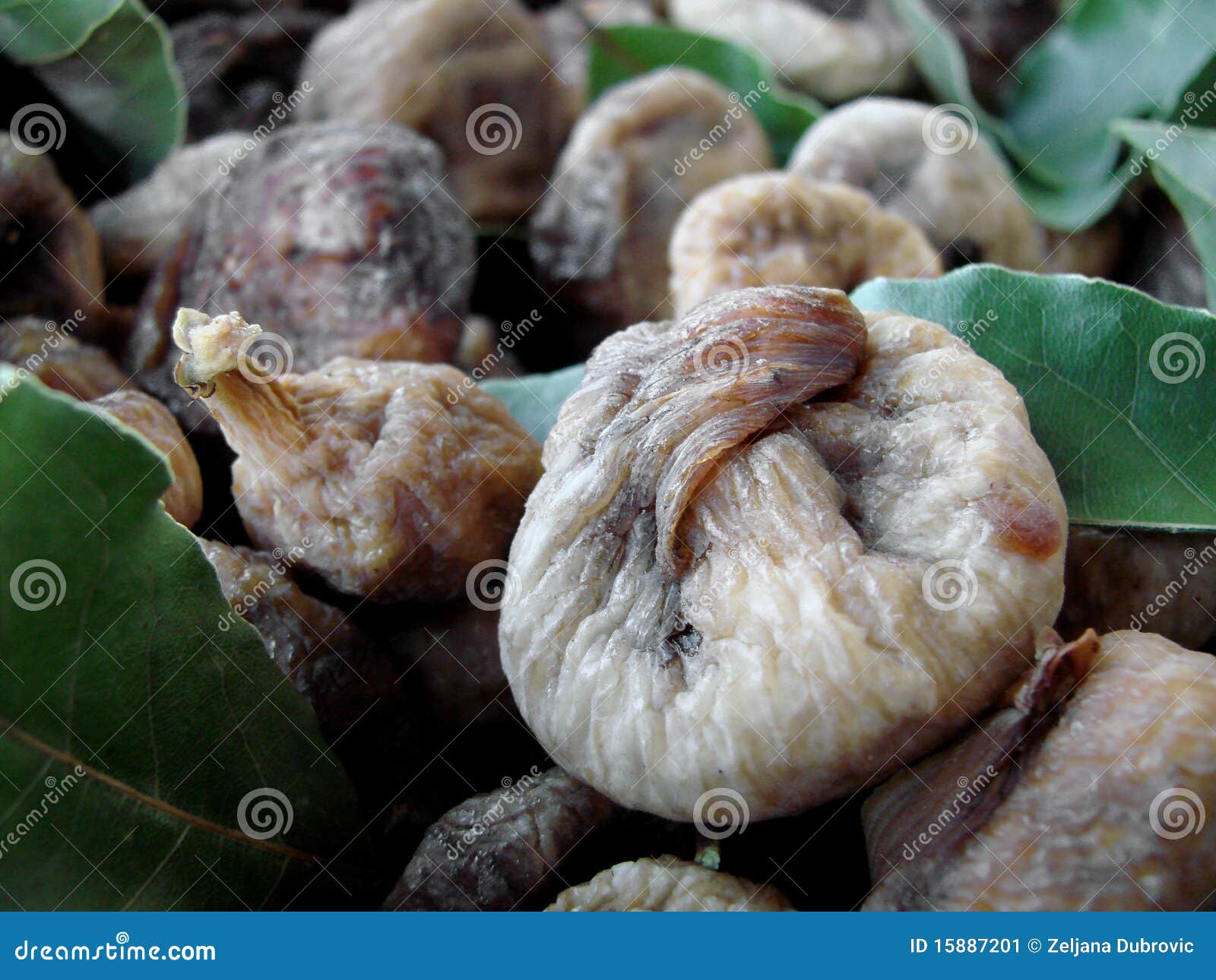 Dried figs stock image. Image of scene, dried, healthy 15887201