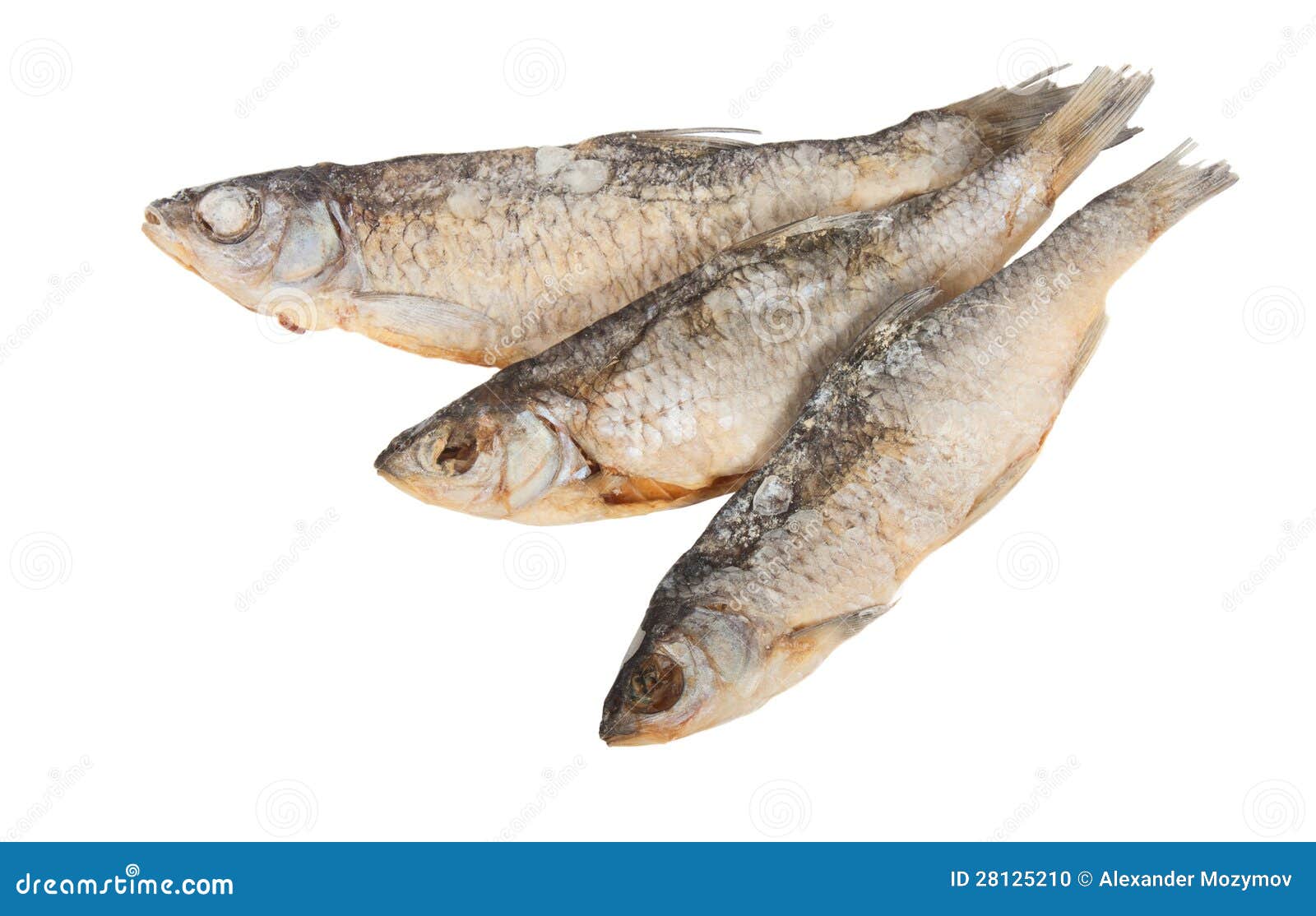 clipart dried fish - photo #27