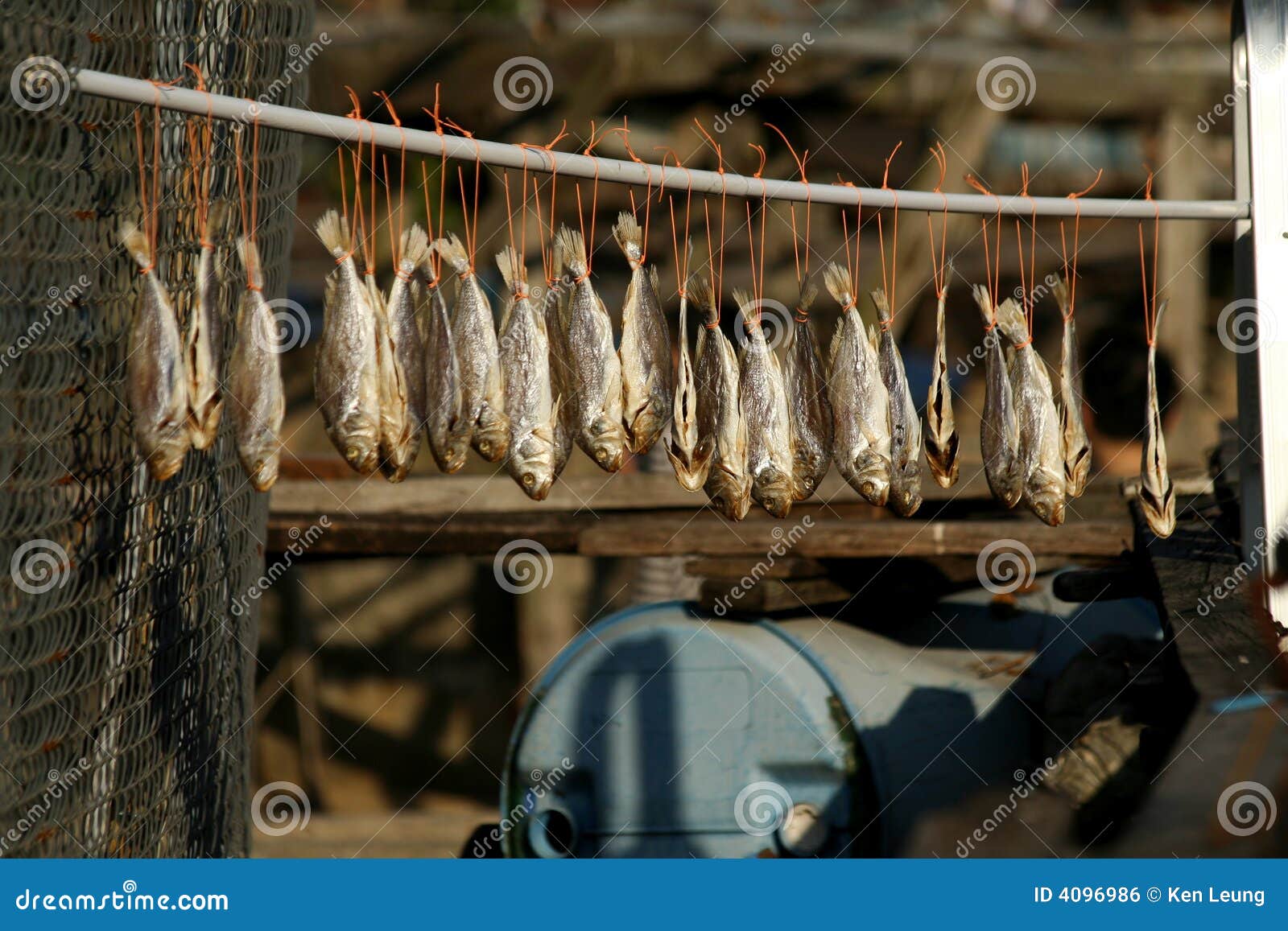 Dried fish stock photo. Image of fish, village, dried 4096986