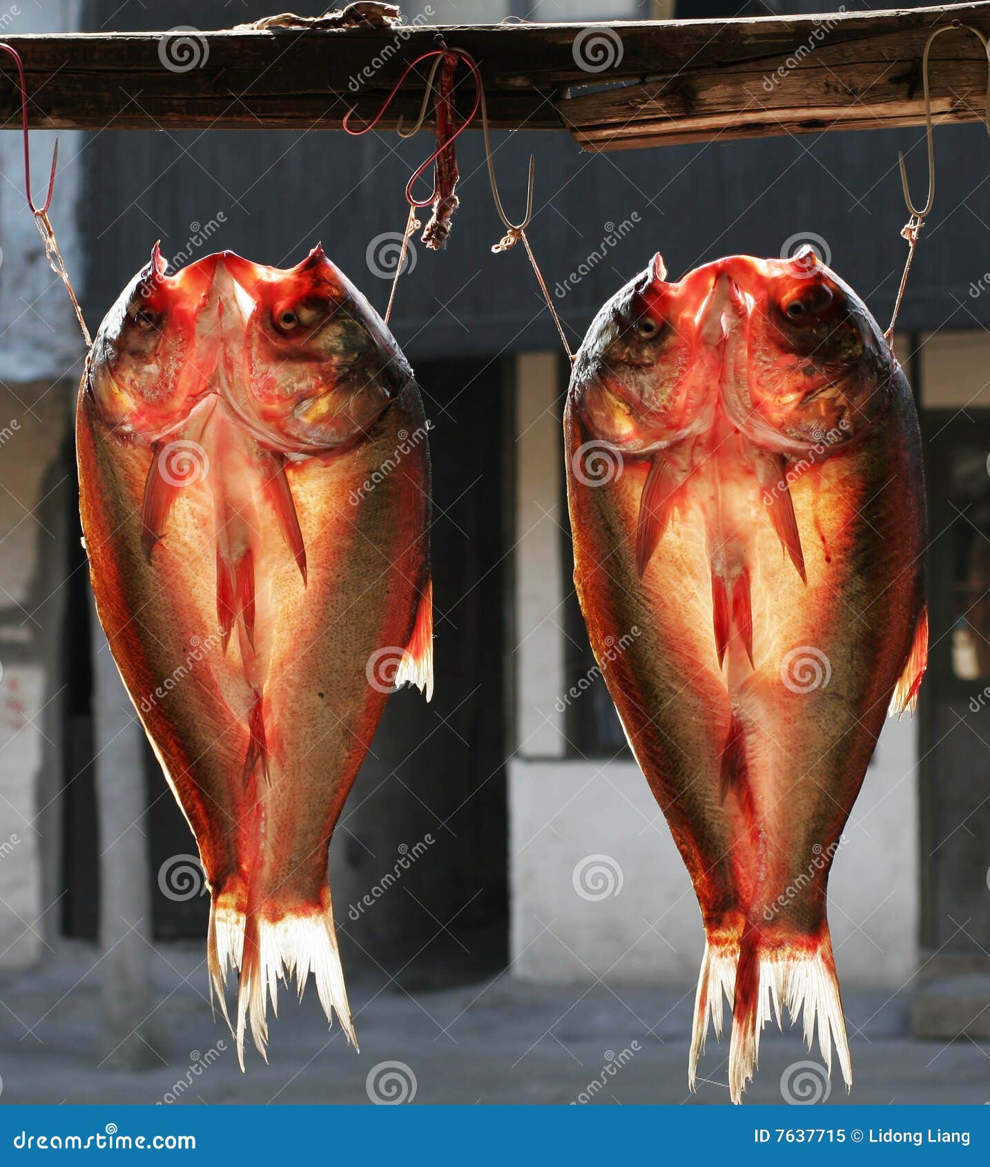 Dried fish stock image. Image of meat, folk, translucent 7637715