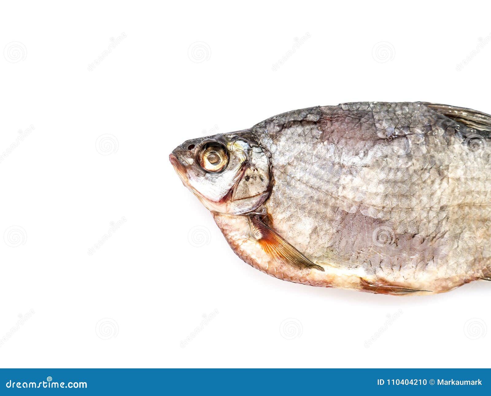 Dried Fish. stock photo. Image of healthy, nutrition 110404210
