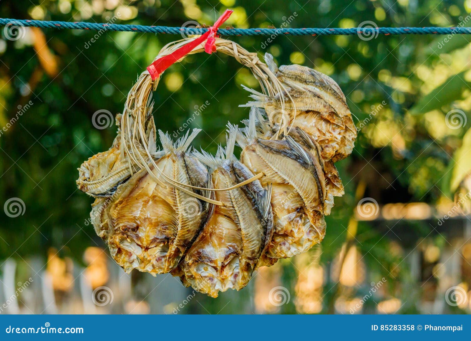 Dried fish stock photo. Image of life, fishing, fish 85283358
