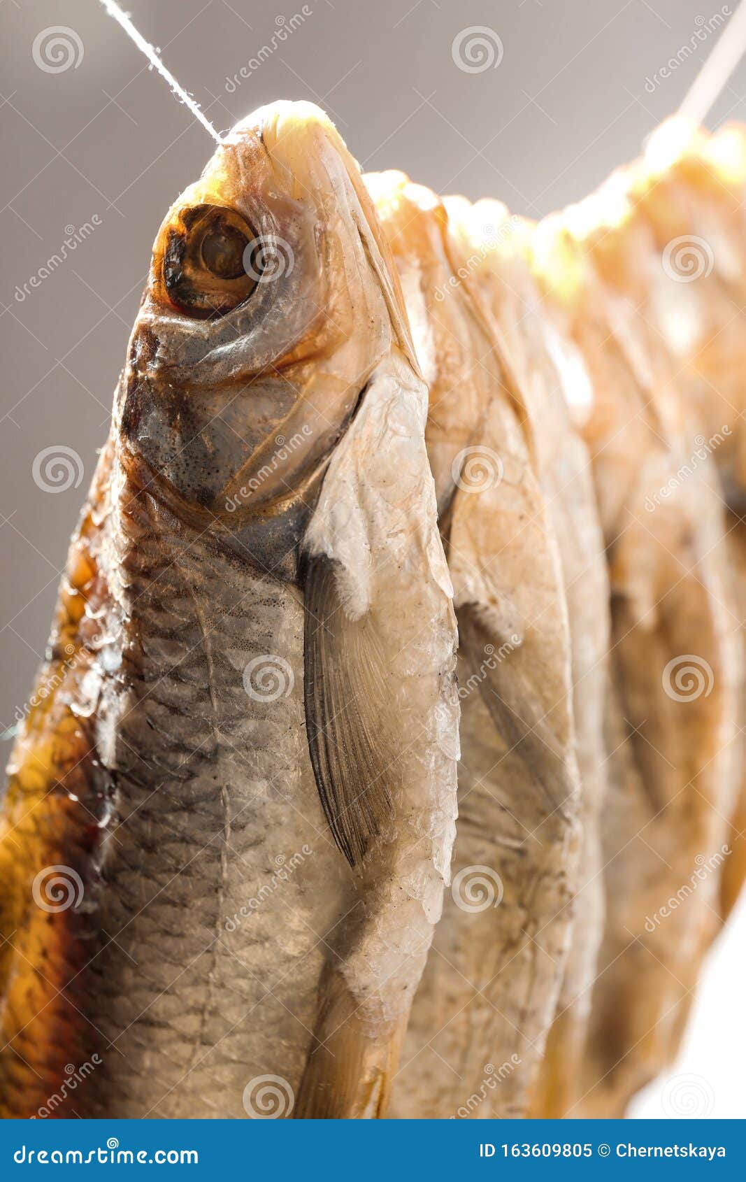 Dried Fish Hanging on Rope, Closeup View Stock Image Image of hanging, salt 163609805
