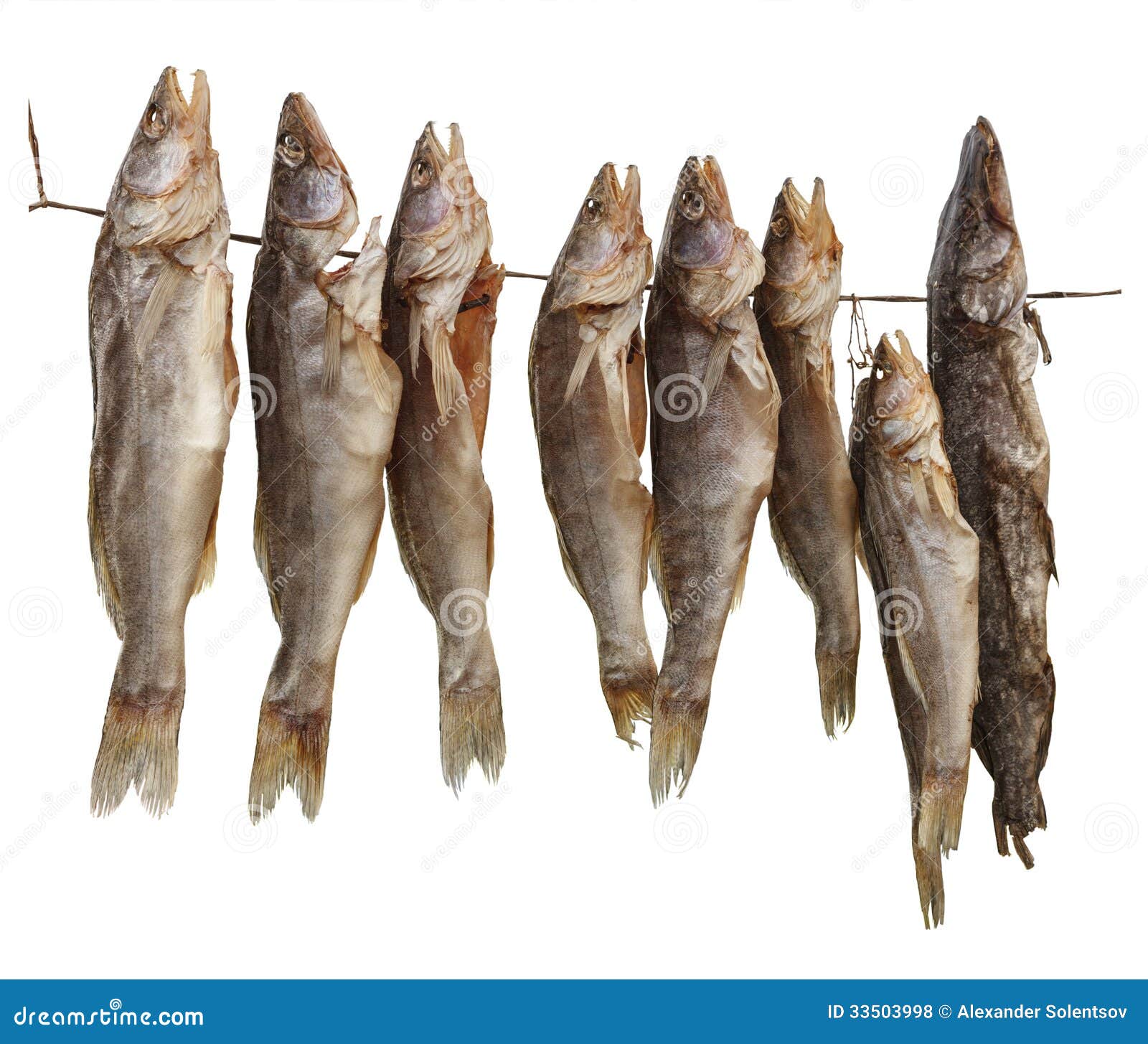 clipart dried fish - photo #38