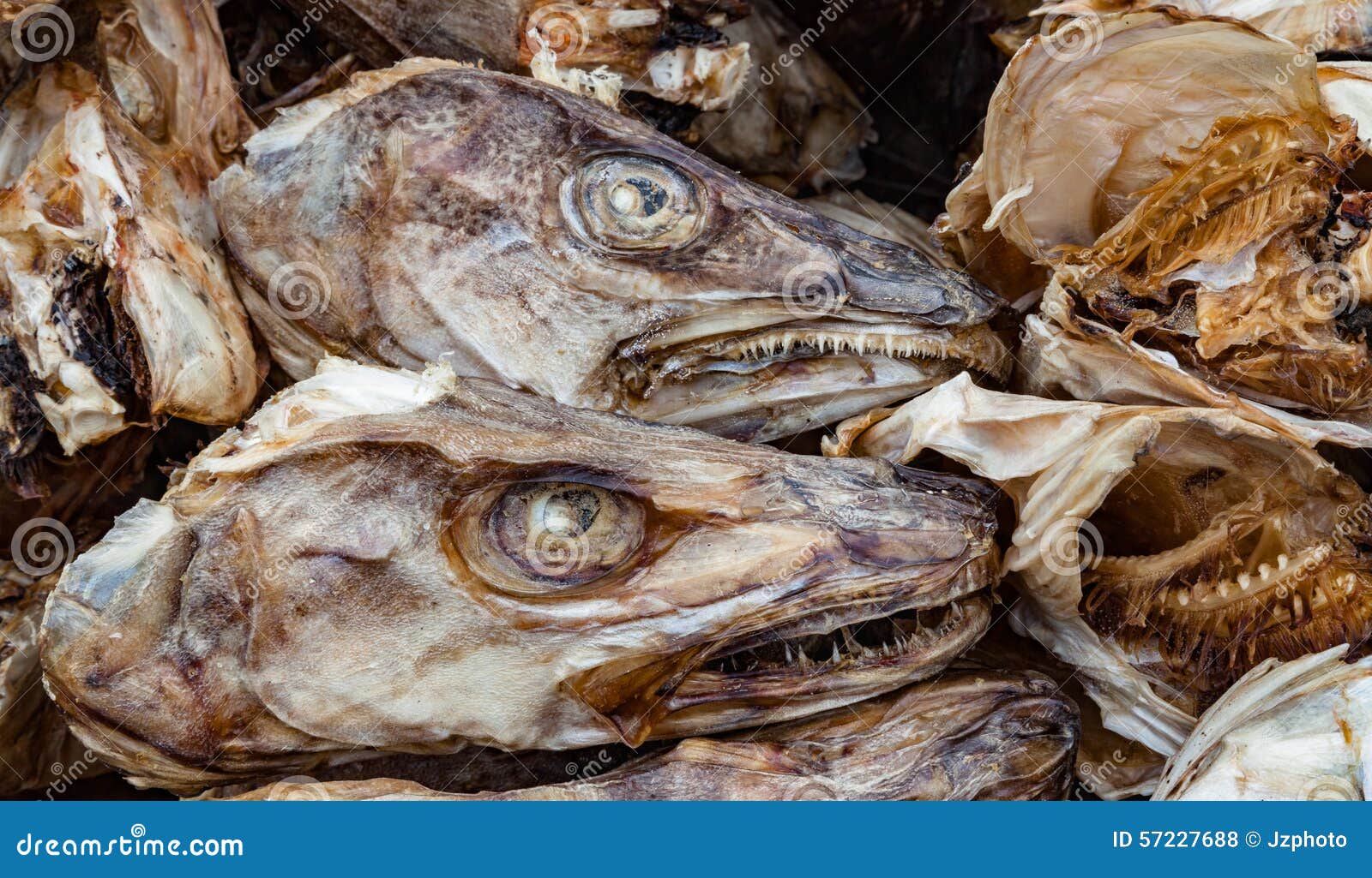 DryFish of Norway - Dryfish of Norway® - USA Stockfish Online