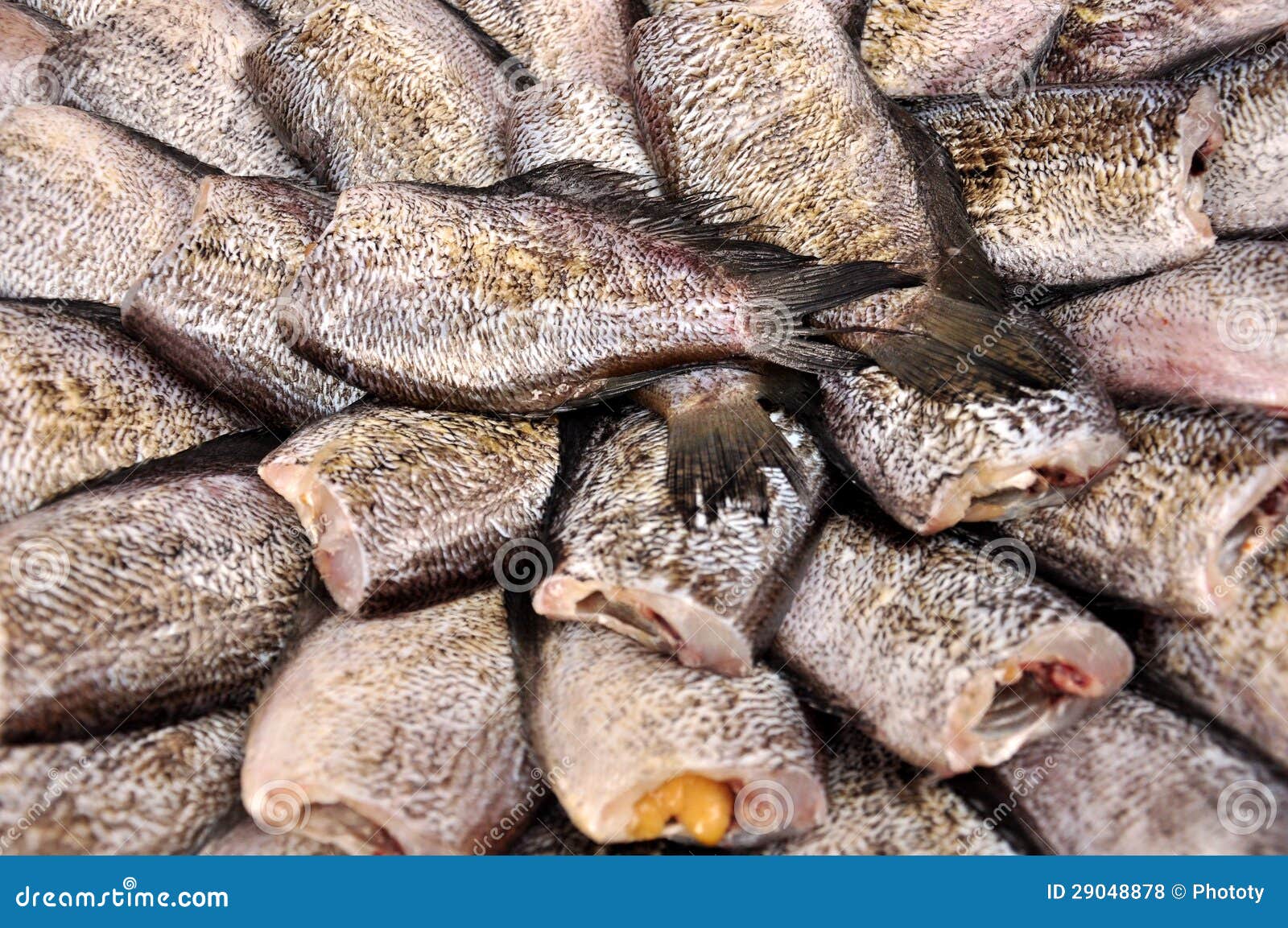 Dried fish in local market stock photo. Image of background 29048878