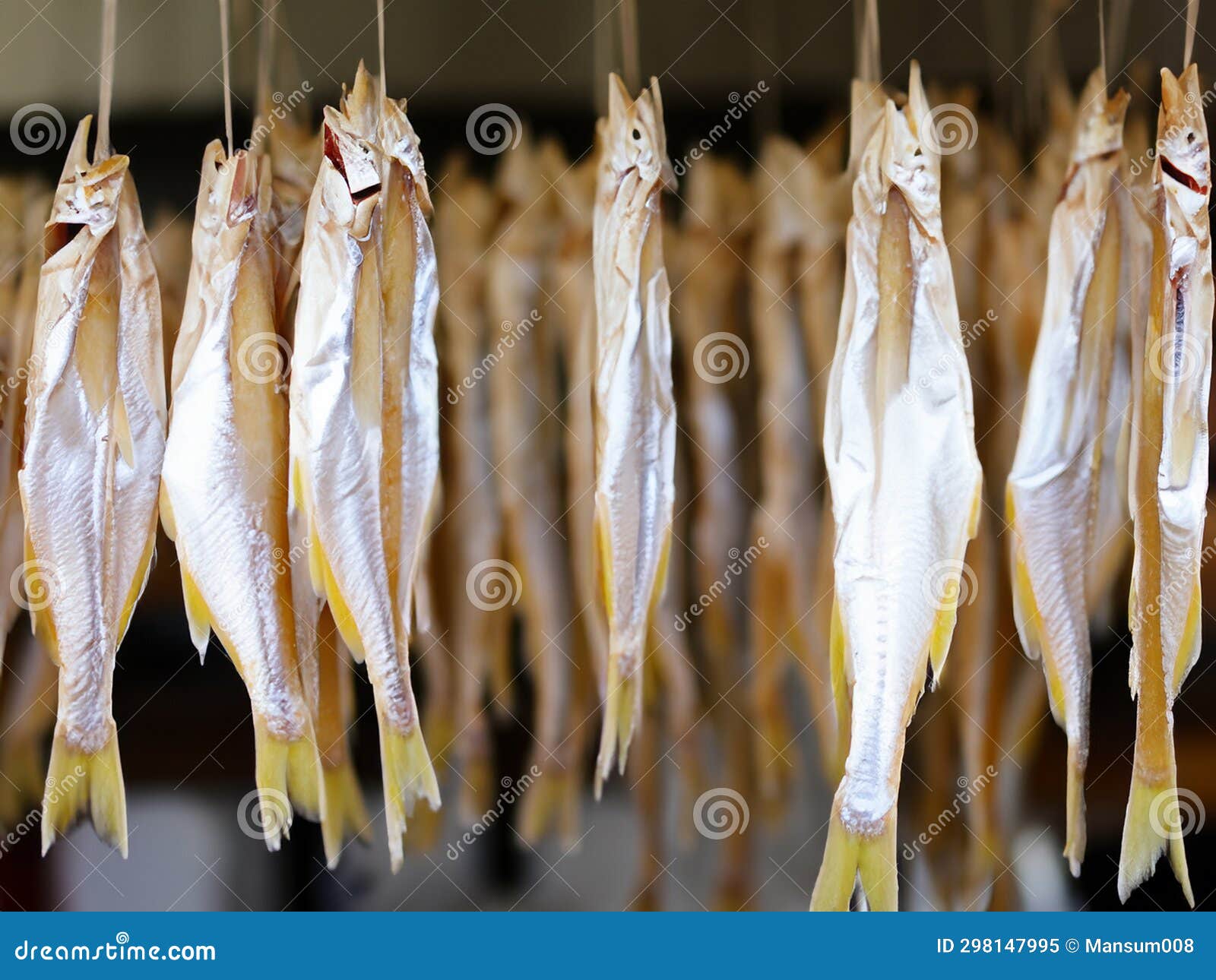 Dried fish in the market stock illustration. Illustration of fishing