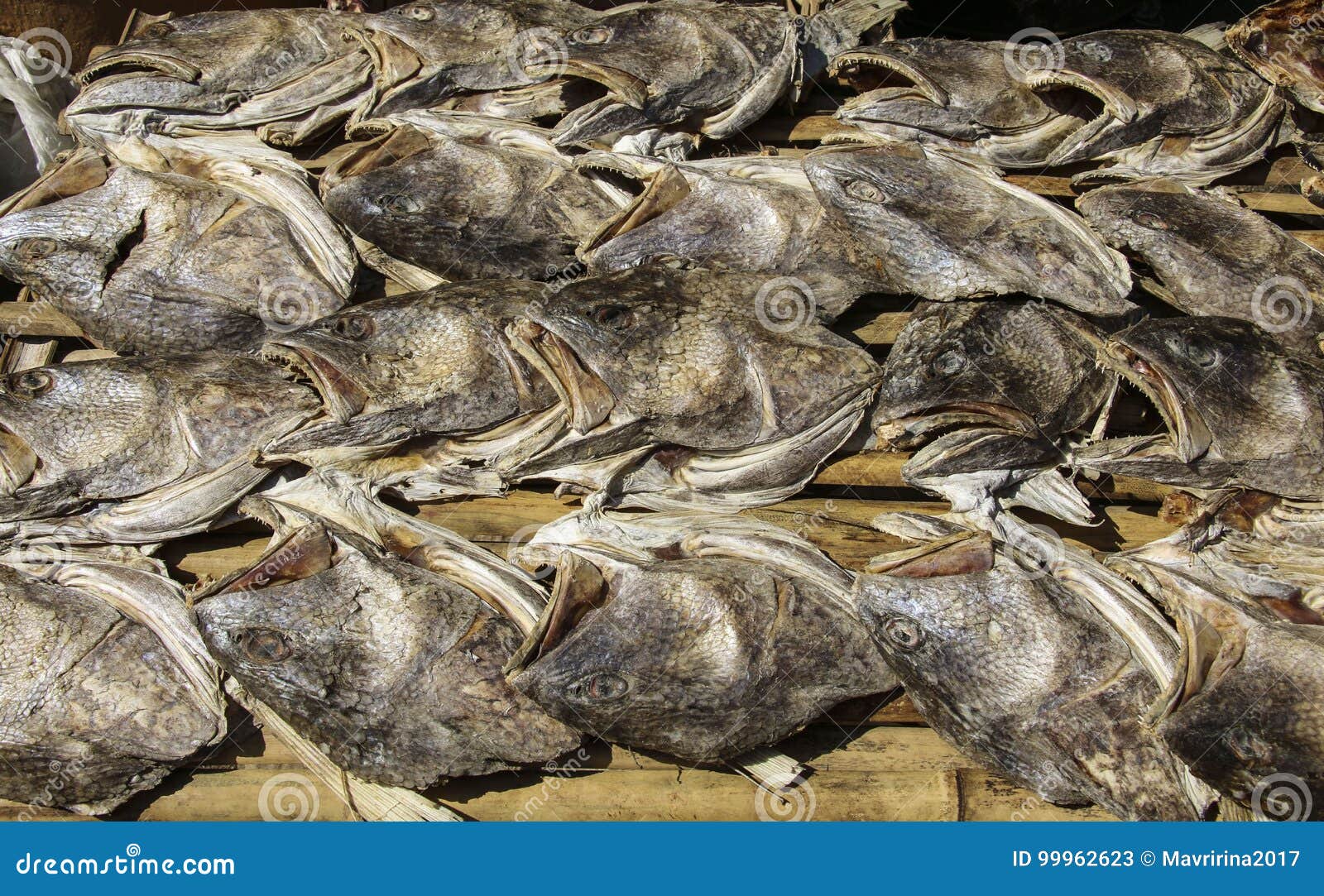 Dried Fish in the Market, Myanmar Burma Stock Image Image of healthy