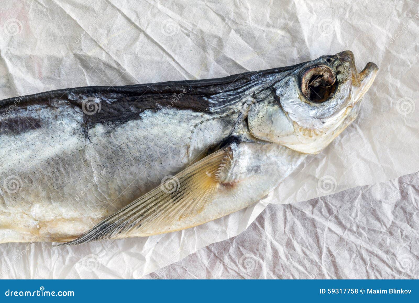 Stockfish. Sabrefish on the Table. Stock Photo - Image of