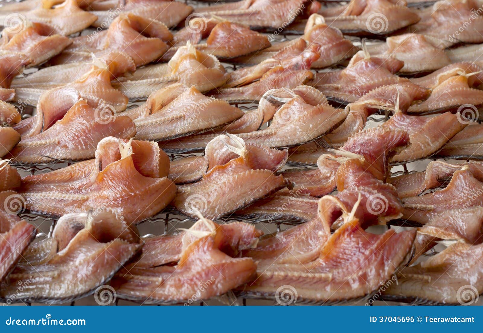 Dried Fish on the Stainless Grid Stock Photo Image of fish, taste