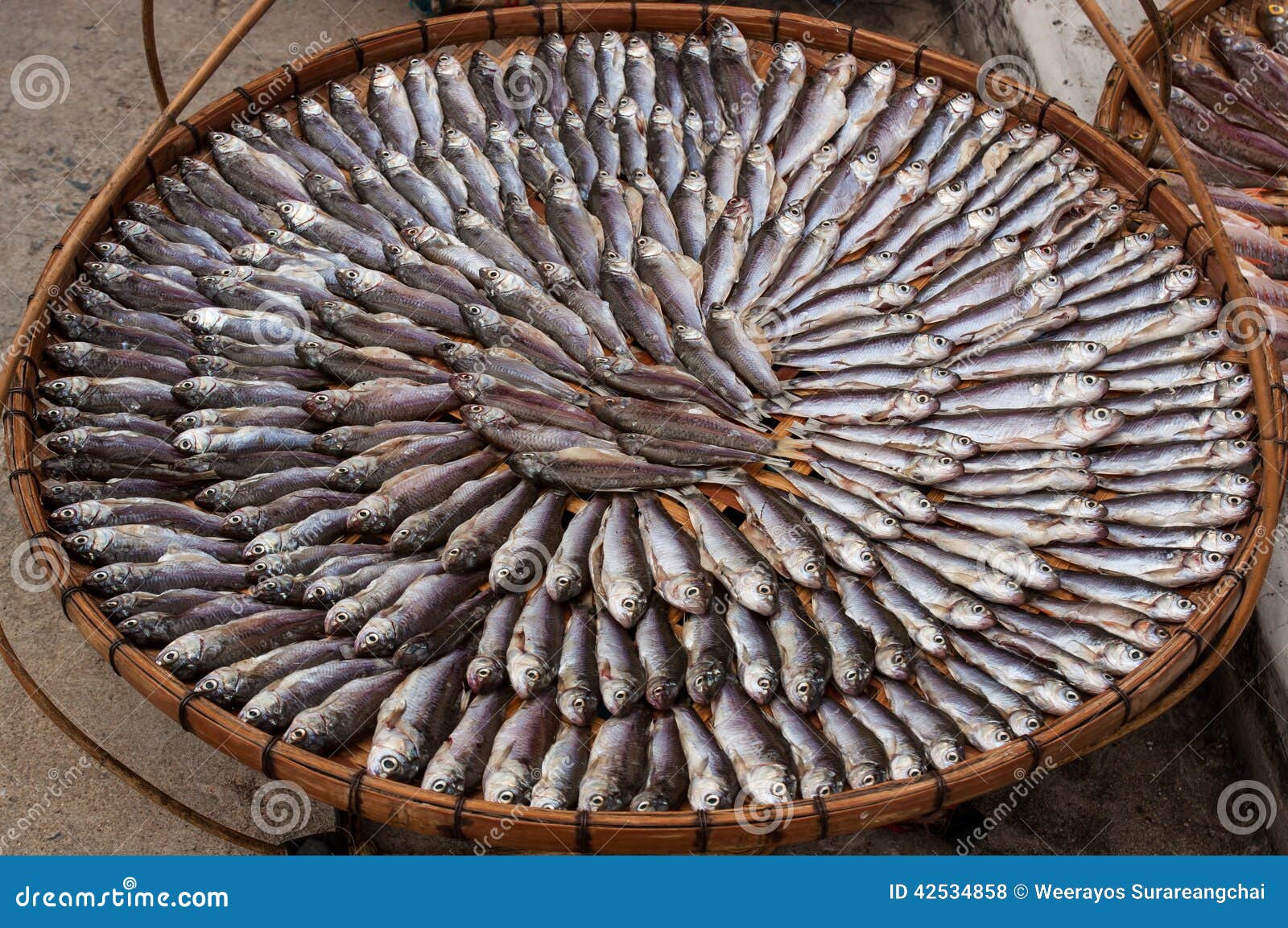 Dried fish in Thailand stock photo. Image of food, salted 42534858