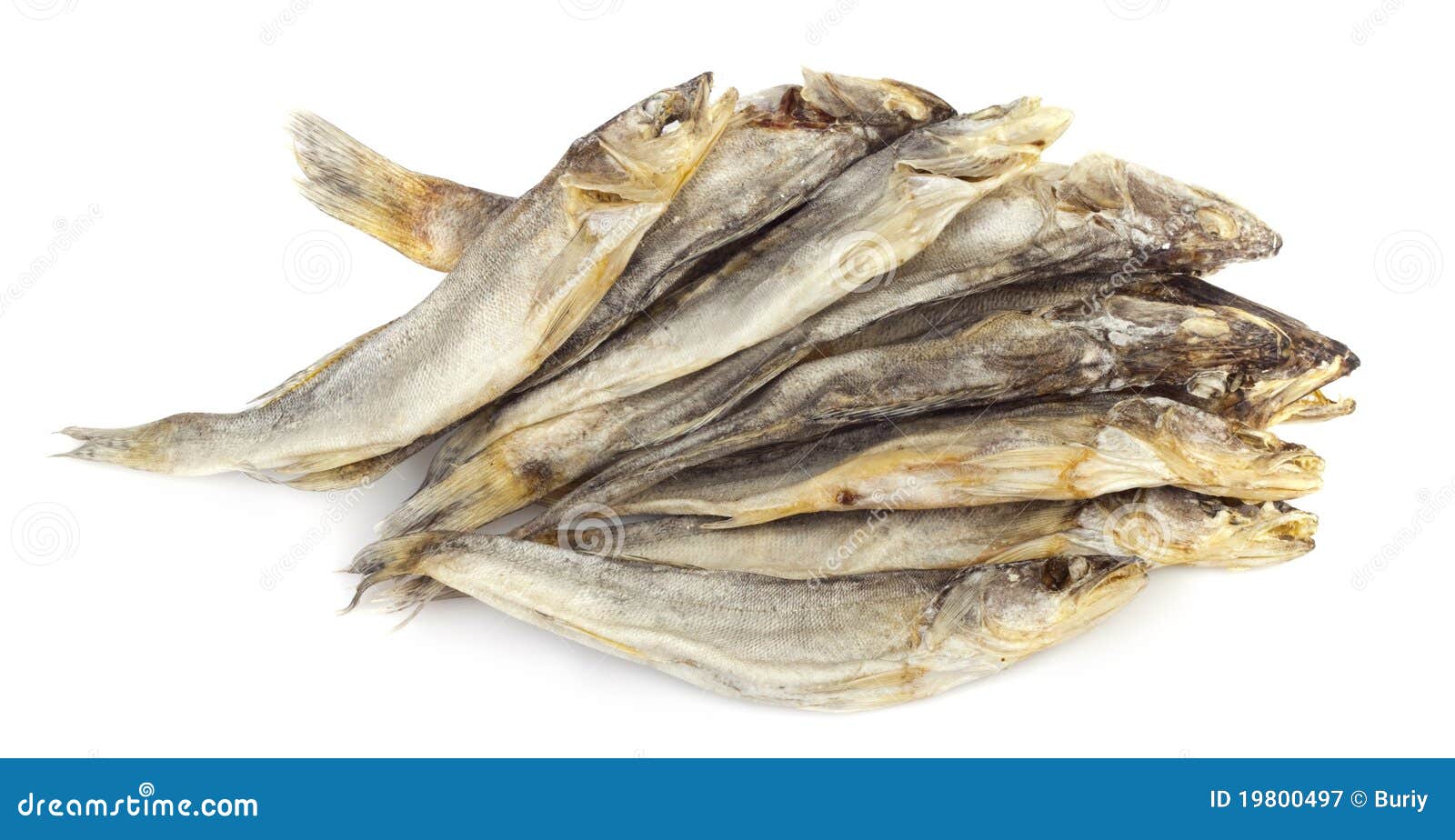 Dried fishes stock image. Image of prepared, healthy 19800497