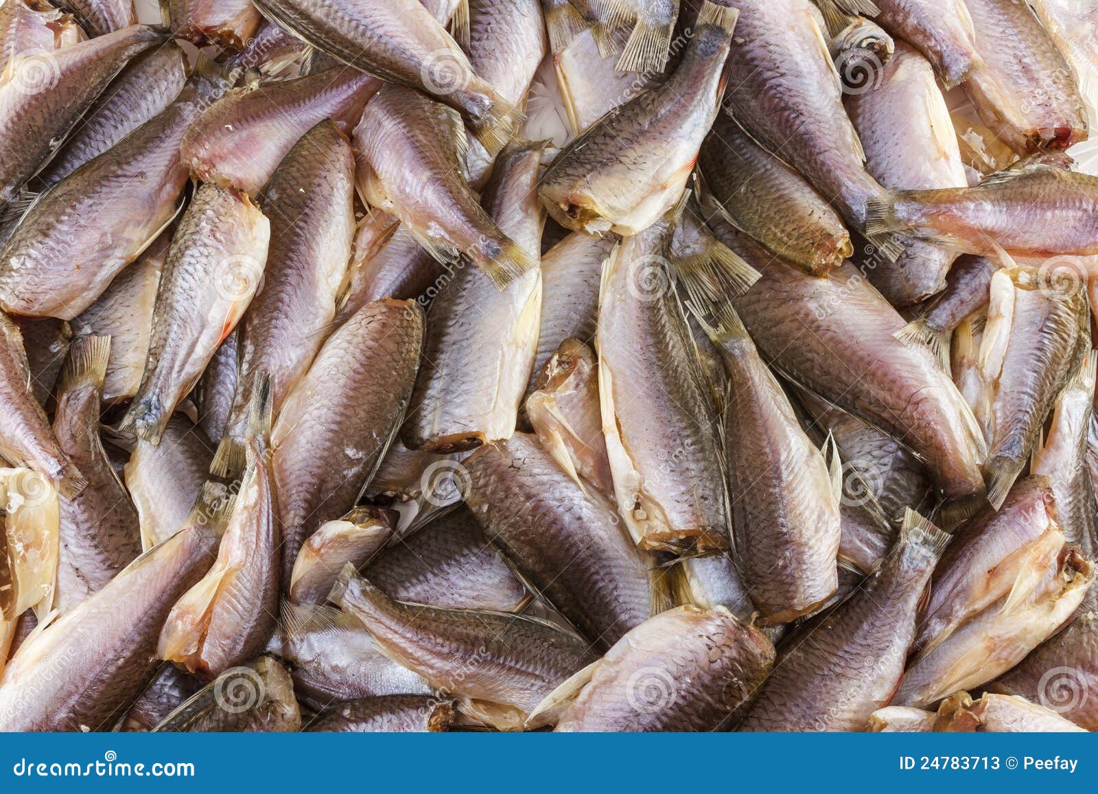 Dried fishes stock image. Image of processing, fresh 24783713