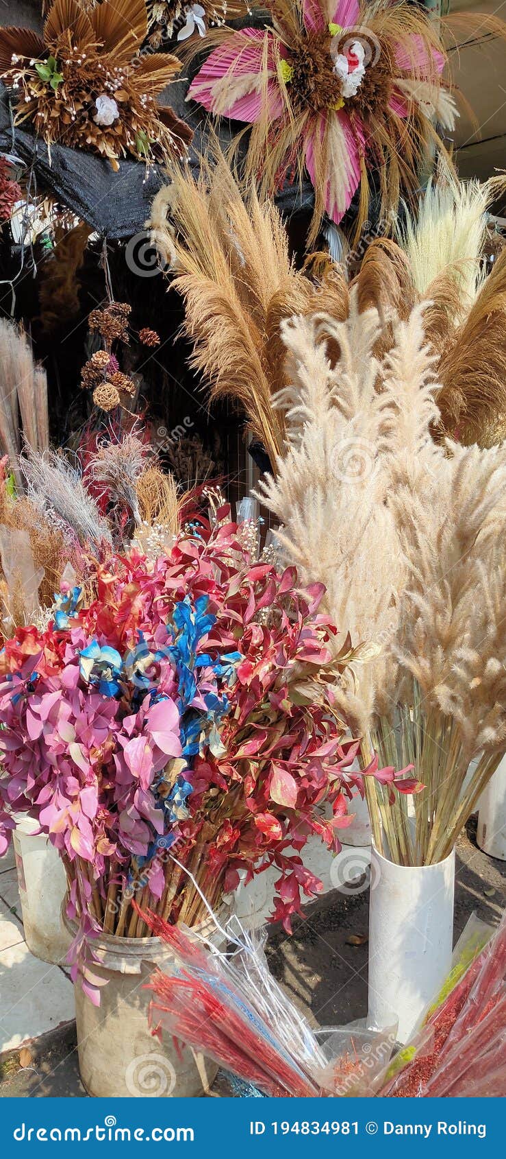 Dried Flower on Display at Flower Market Stock Image Image of