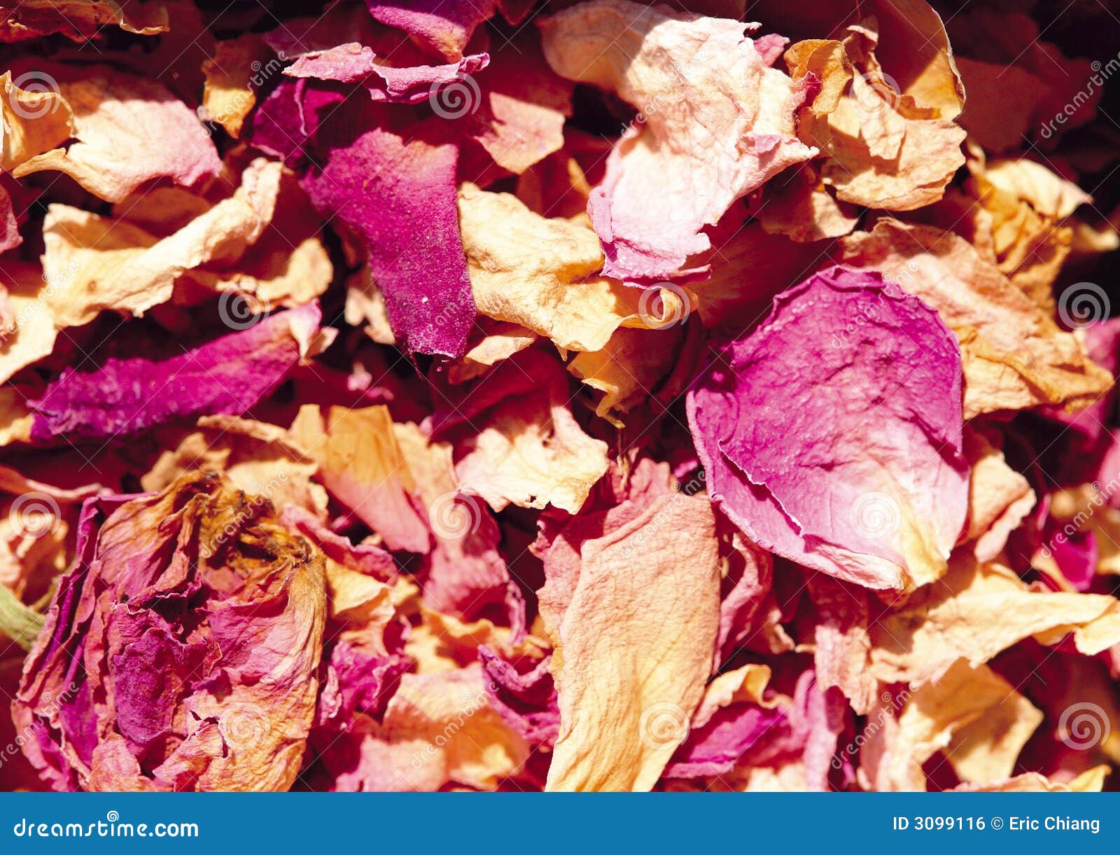 Dried flower petals stock photo. Image of full, horizontal 3099116