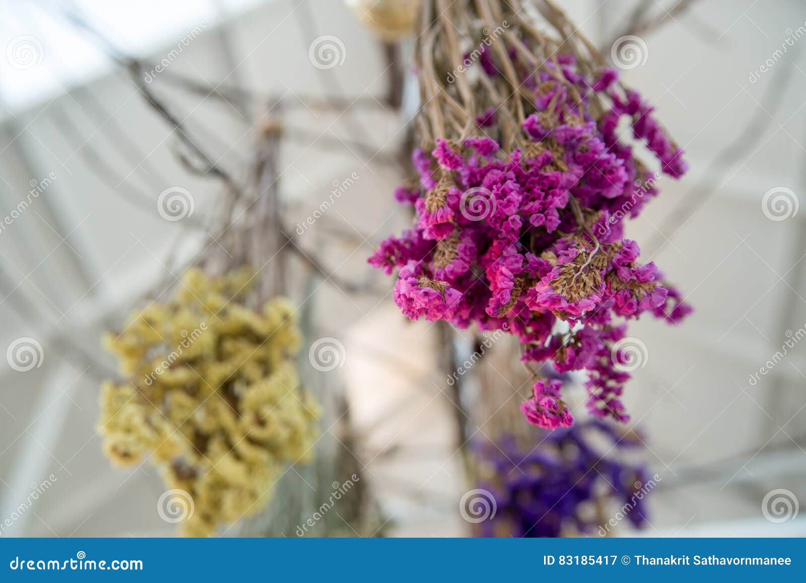 Dried Flowers Hanging From A Ceiling Stock Image Image Of Retro Lines 83185417