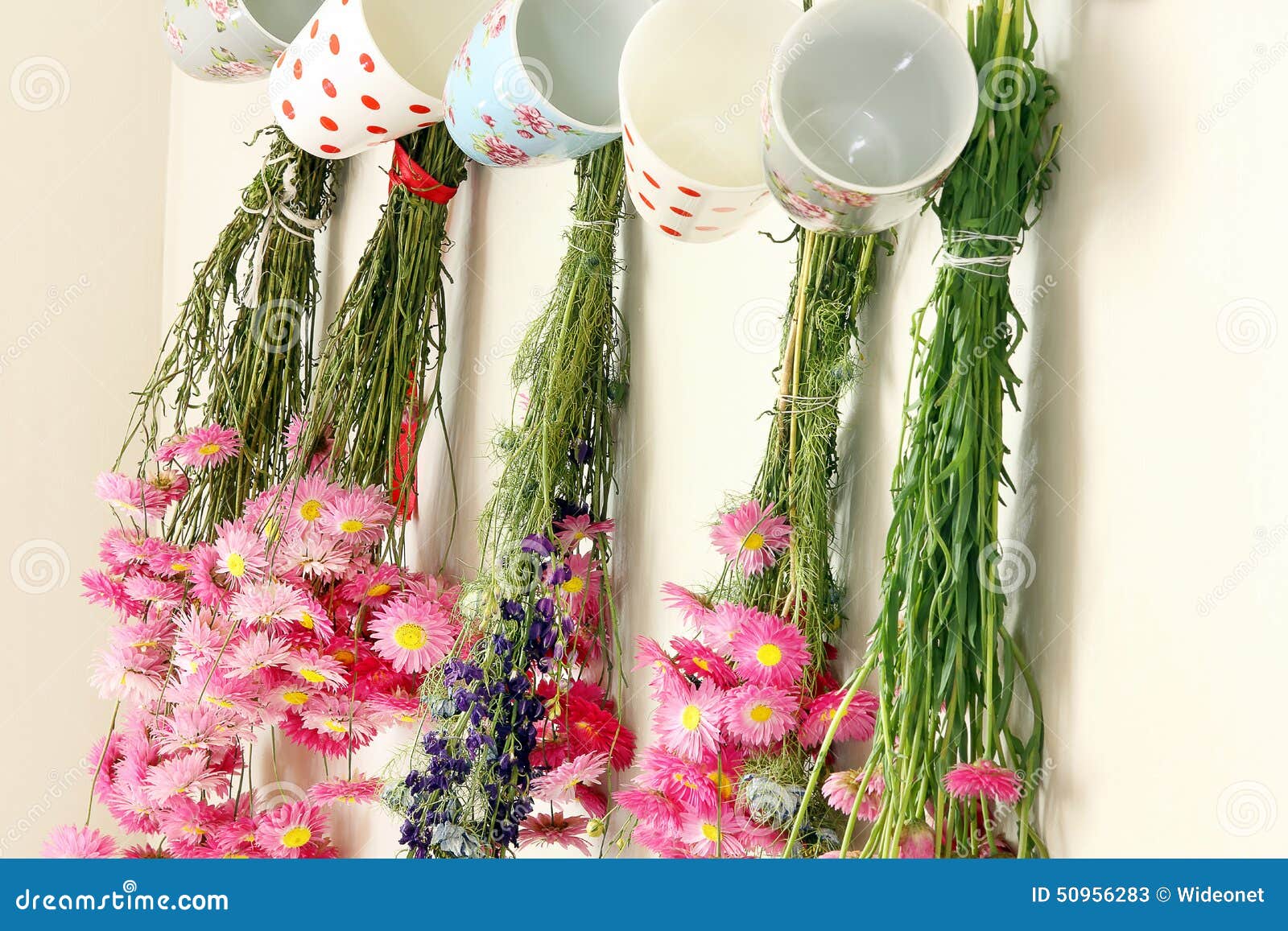 Dried Flowers Hanging in the Kitchen Stock Image Image of plant