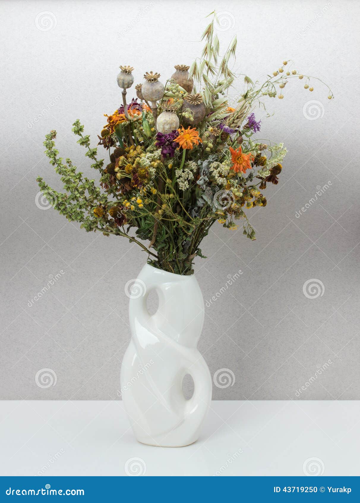 Dried Flowers in Porcelain Vase Stock Photo Image of beauty, flowers