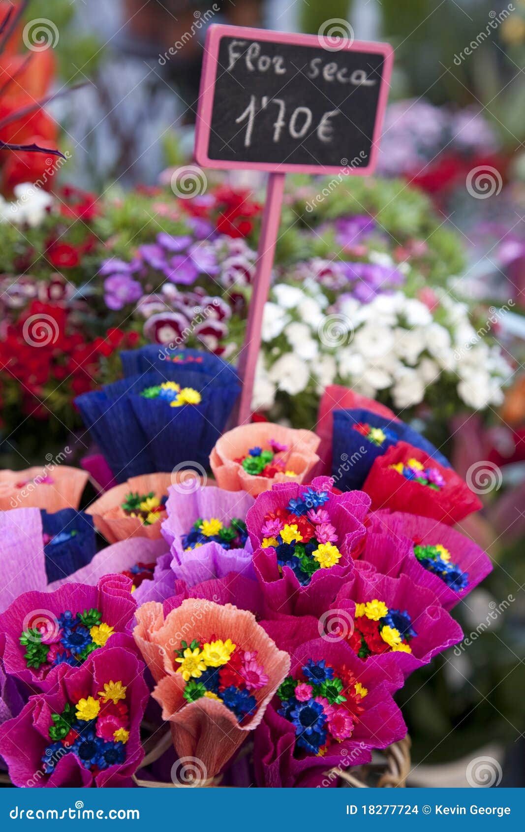 Dried Flowers for Sale stock photo. Image of background 18277724