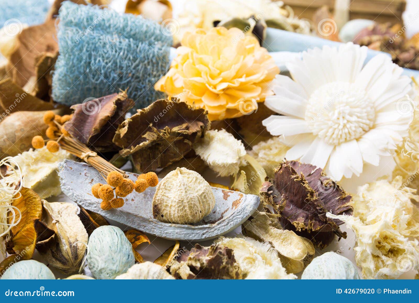 Dried flowers stock photo. Image of bloom, garden, colourful 42679020