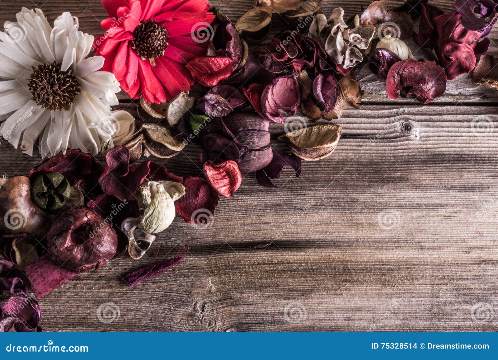 Dried flowers stock photo. Image of smell, colors, pretty 75328514