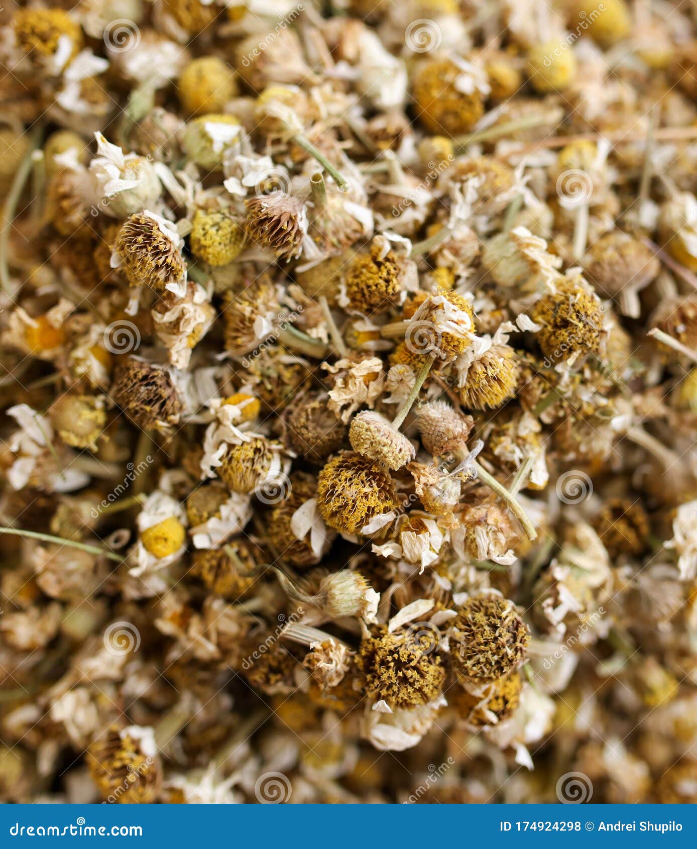 Dried Flowers for Tea on the Counter in the Market Stock Photo Image of fruits, herbal 174924298