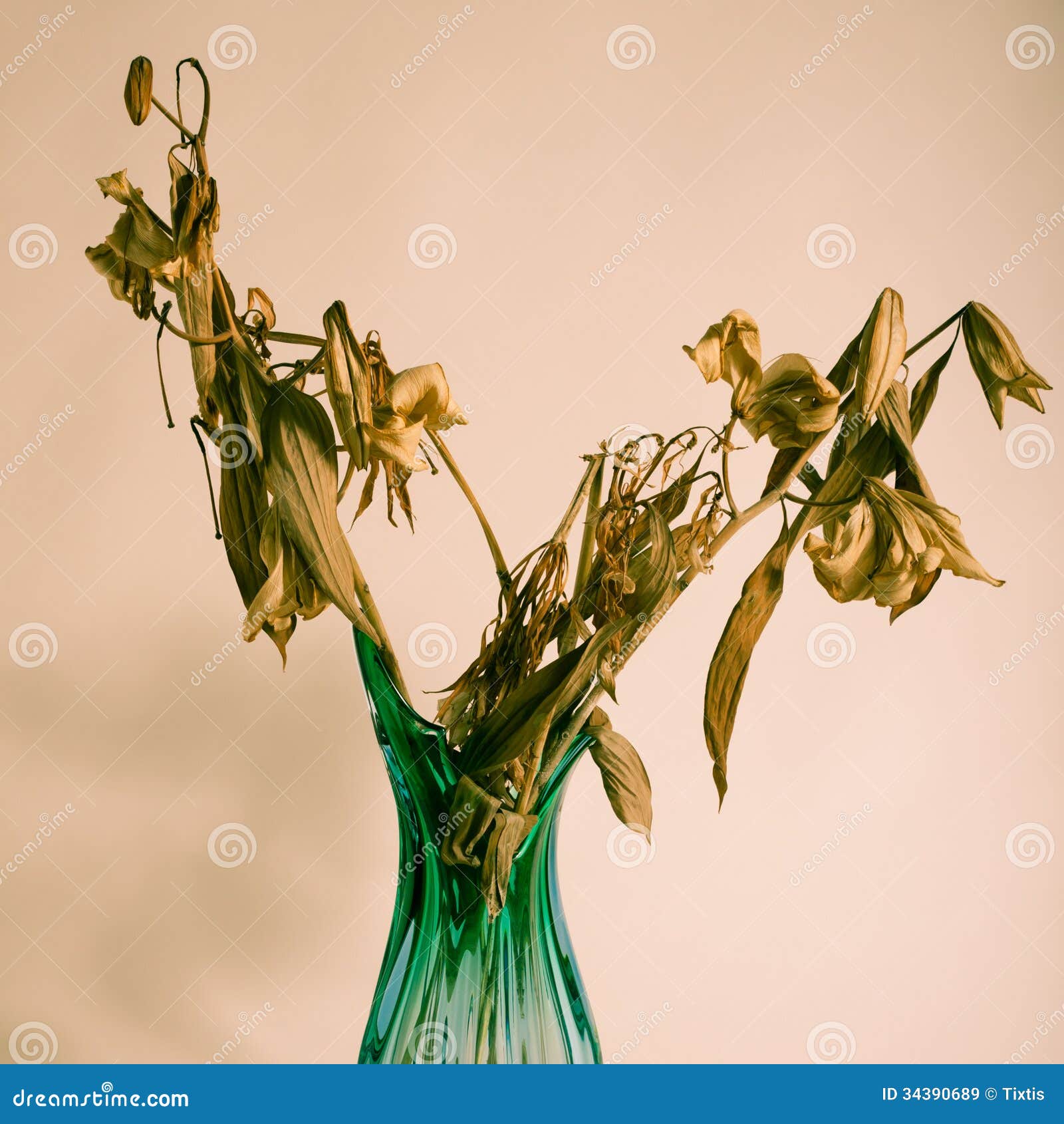 Dried flowers in a vase stock image. Image of life, bunch 34390689