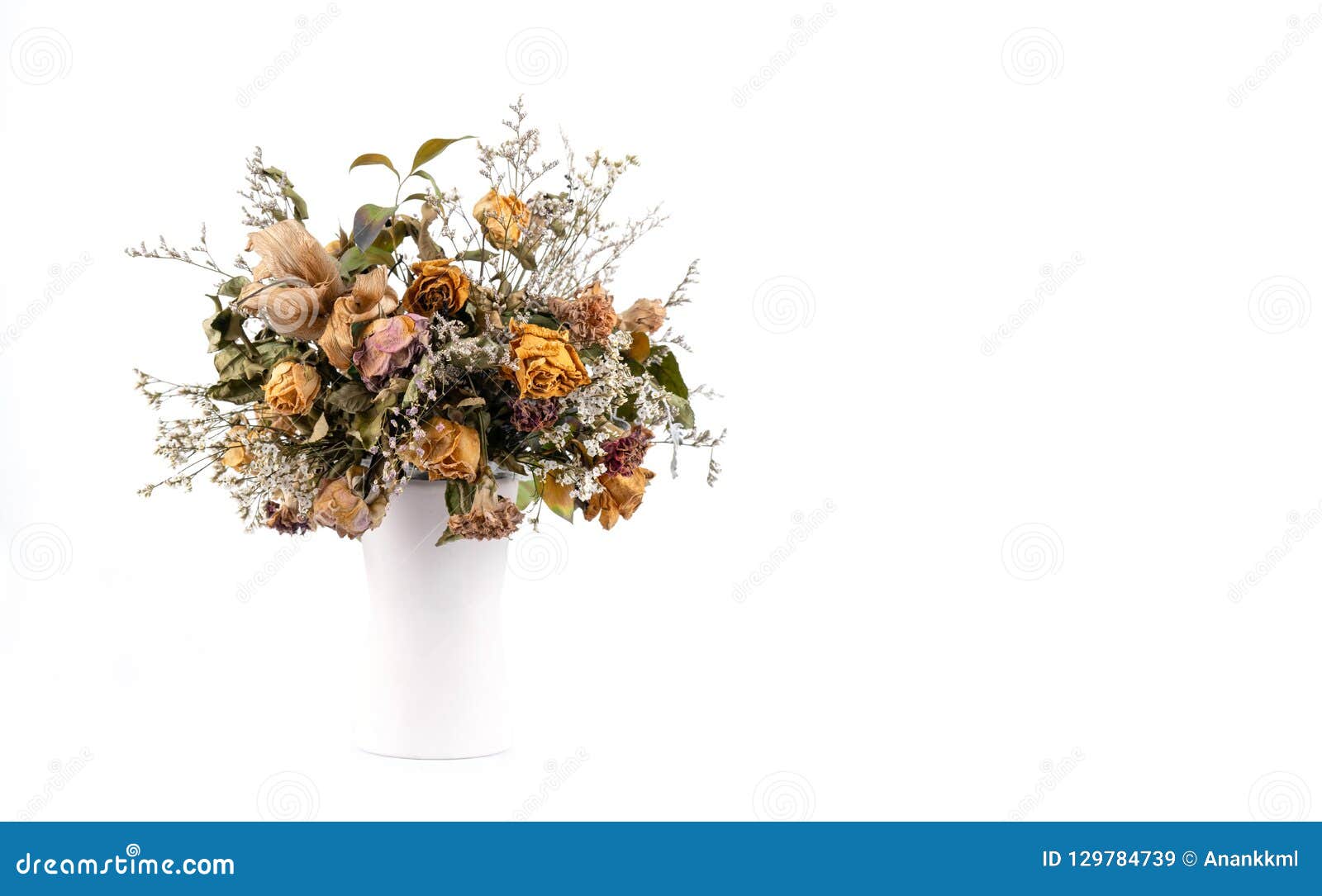 Dried Flowers in White Vase Stock Image Image of dried, beauty 129784739