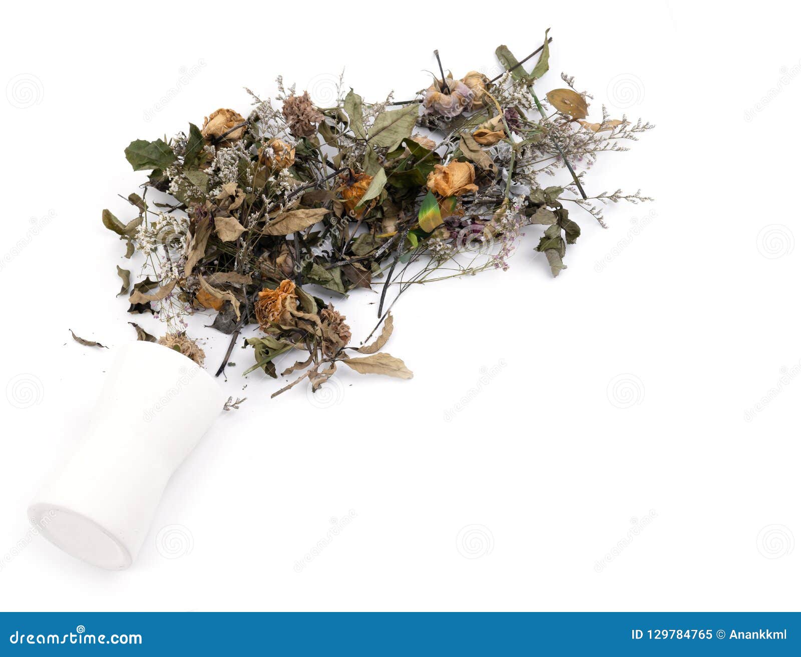 Dried Flowers in White Vase Stock Image Image of bloom, floral 129784765