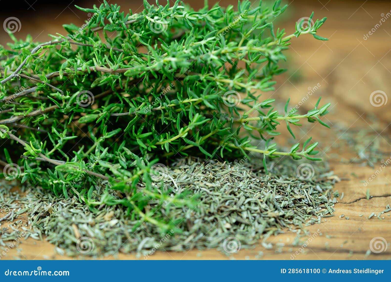 thyme thymus vulgaris