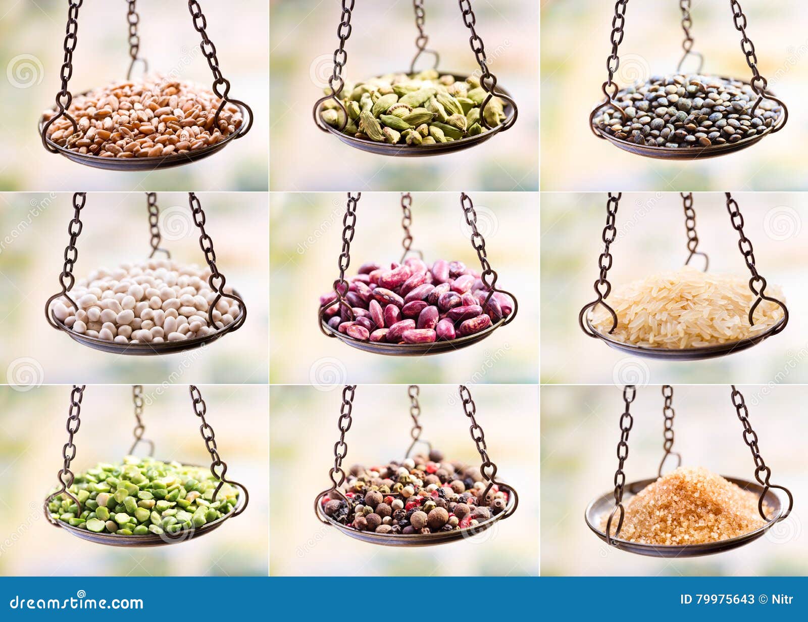 Dried Grains, Seed and Beans in Balance Scale Stock Image Image of